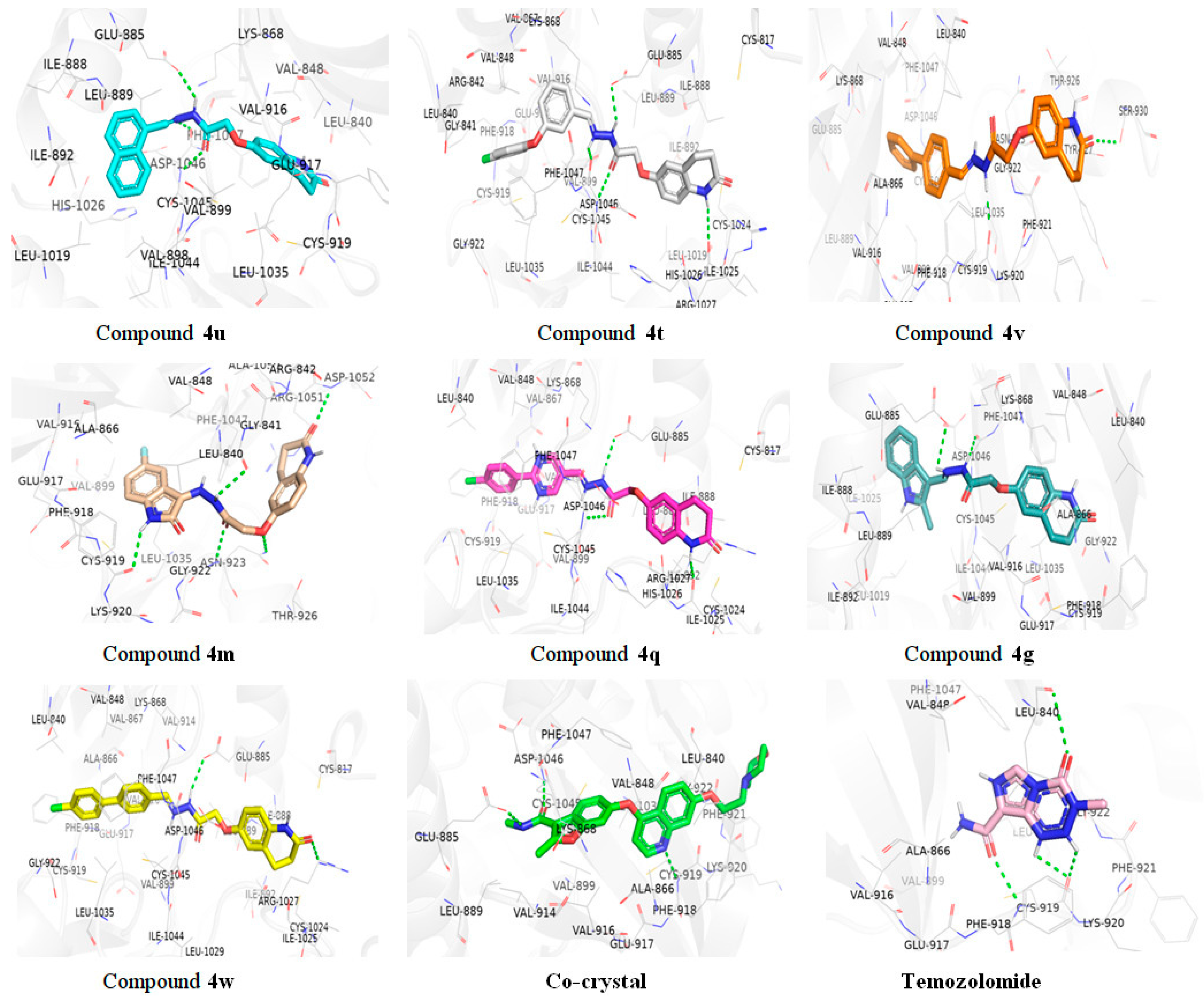 Pharmaceuticals 18 00233 g006