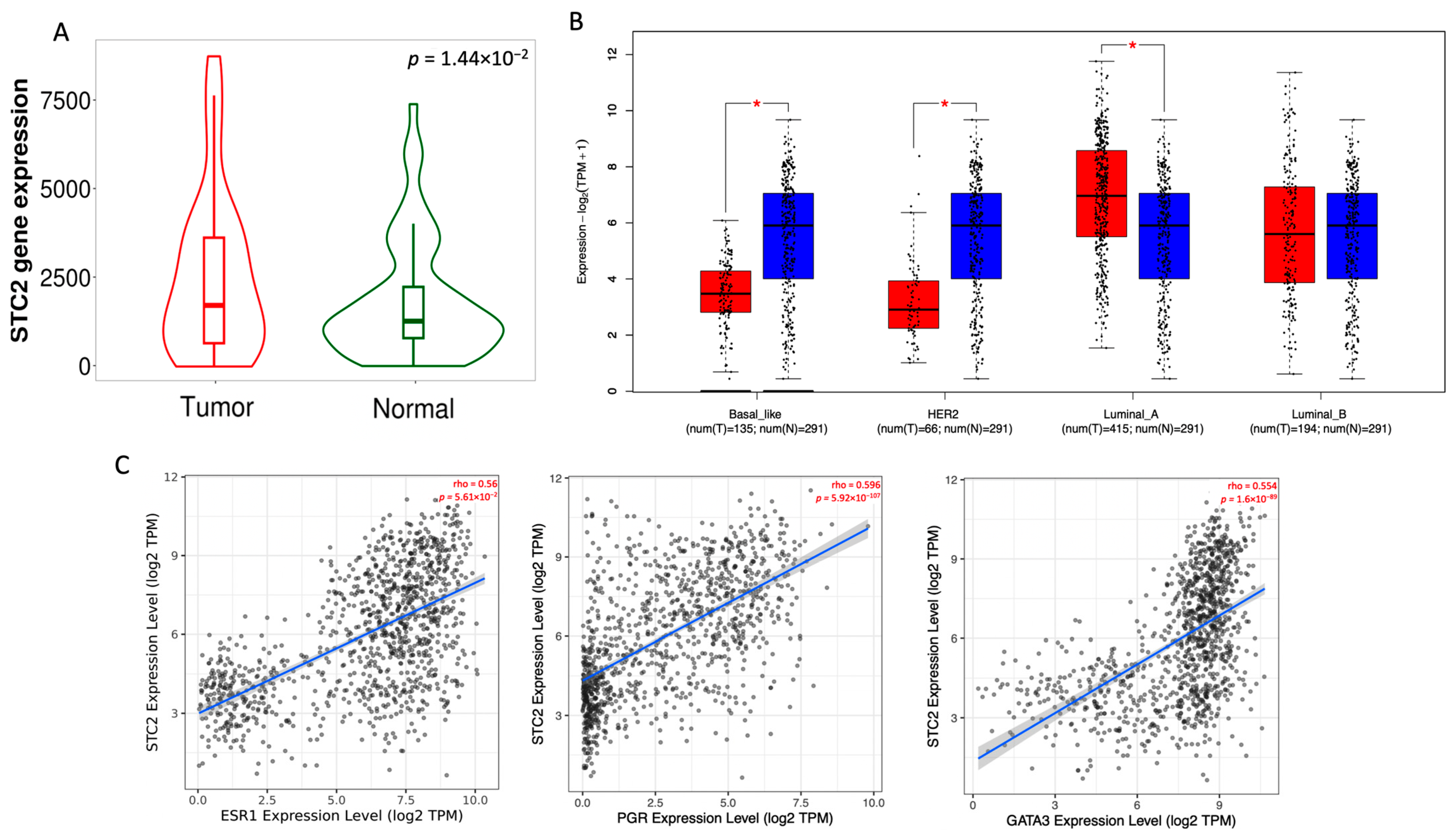 Pharmaceuticals 18 00235 g001 Pharmaceuticals 18 00235 g001