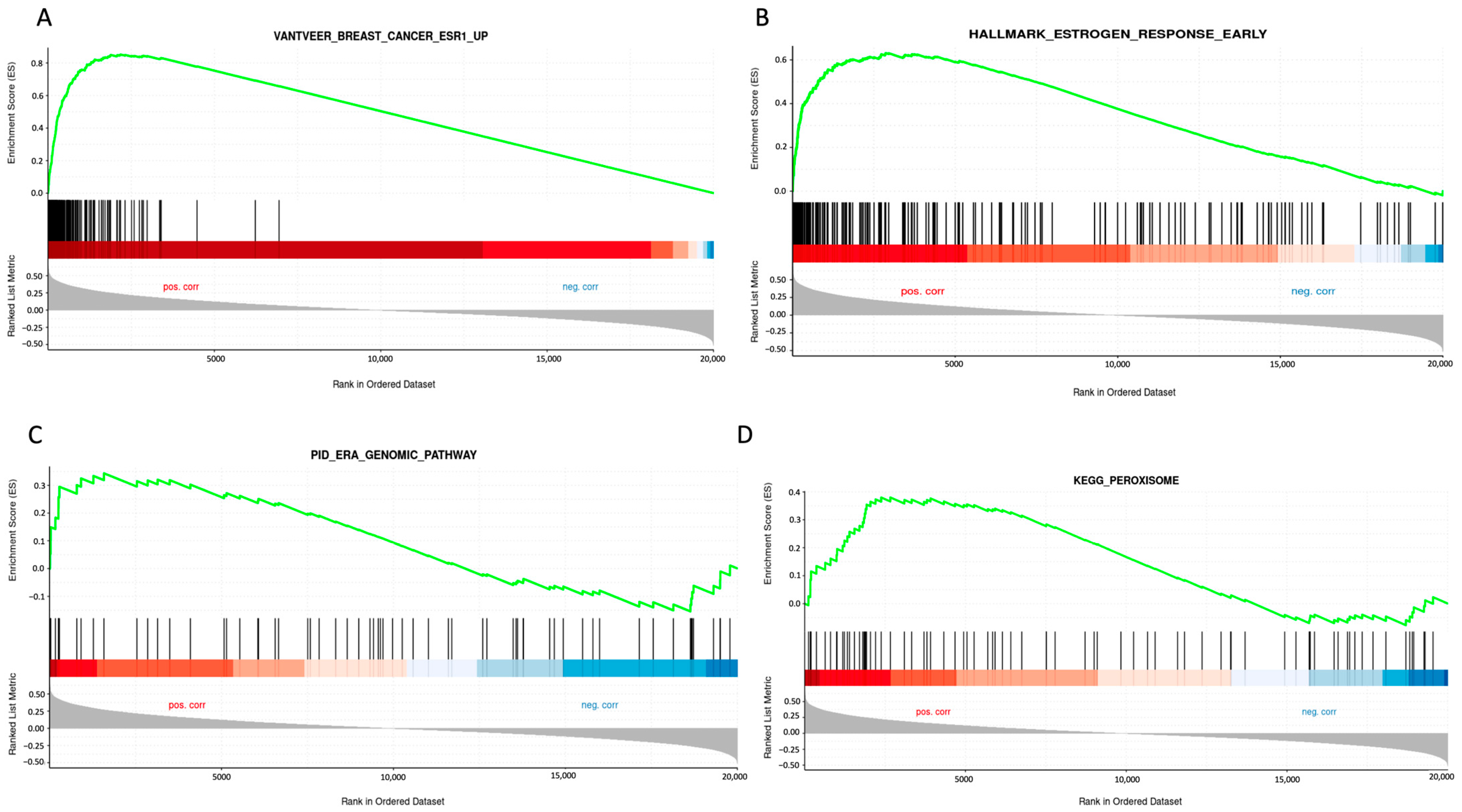 Pharmaceuticals 18 00235 g002 Pharmaceuticals 18 00235 g002