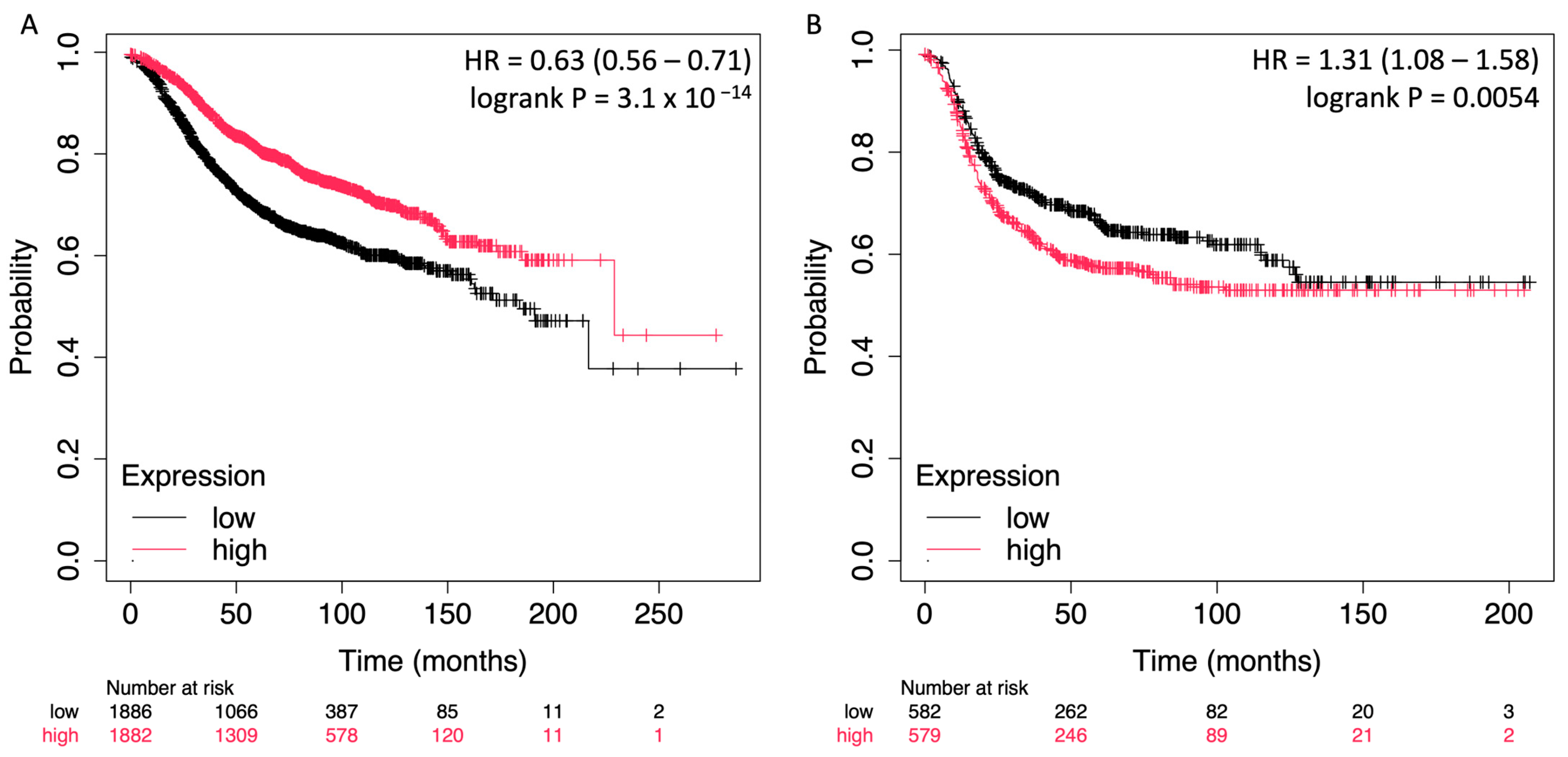 Pharmaceuticals 18 00235 g003 Pharmaceuticals 18 00235 g003