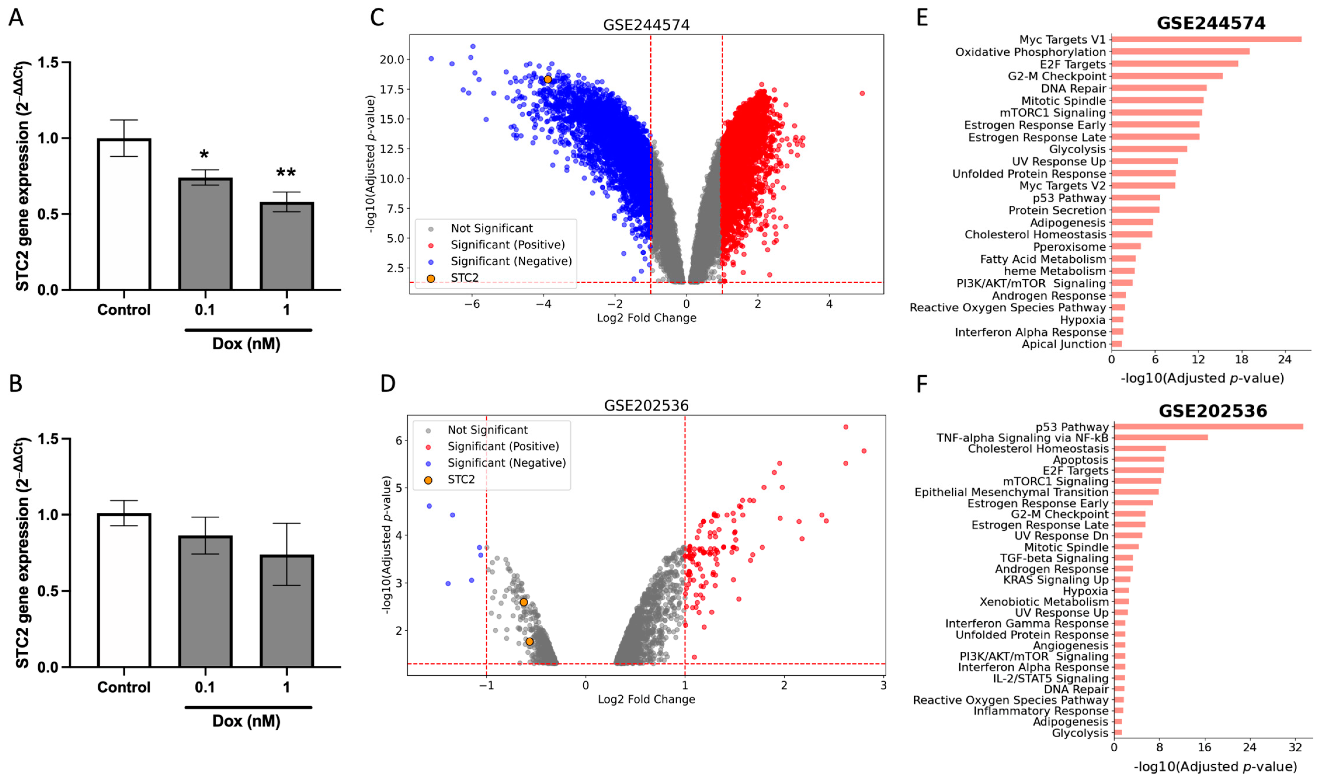 Pharmaceuticals 18 00235 g005 Pharmaceuticals 18 00235 g005