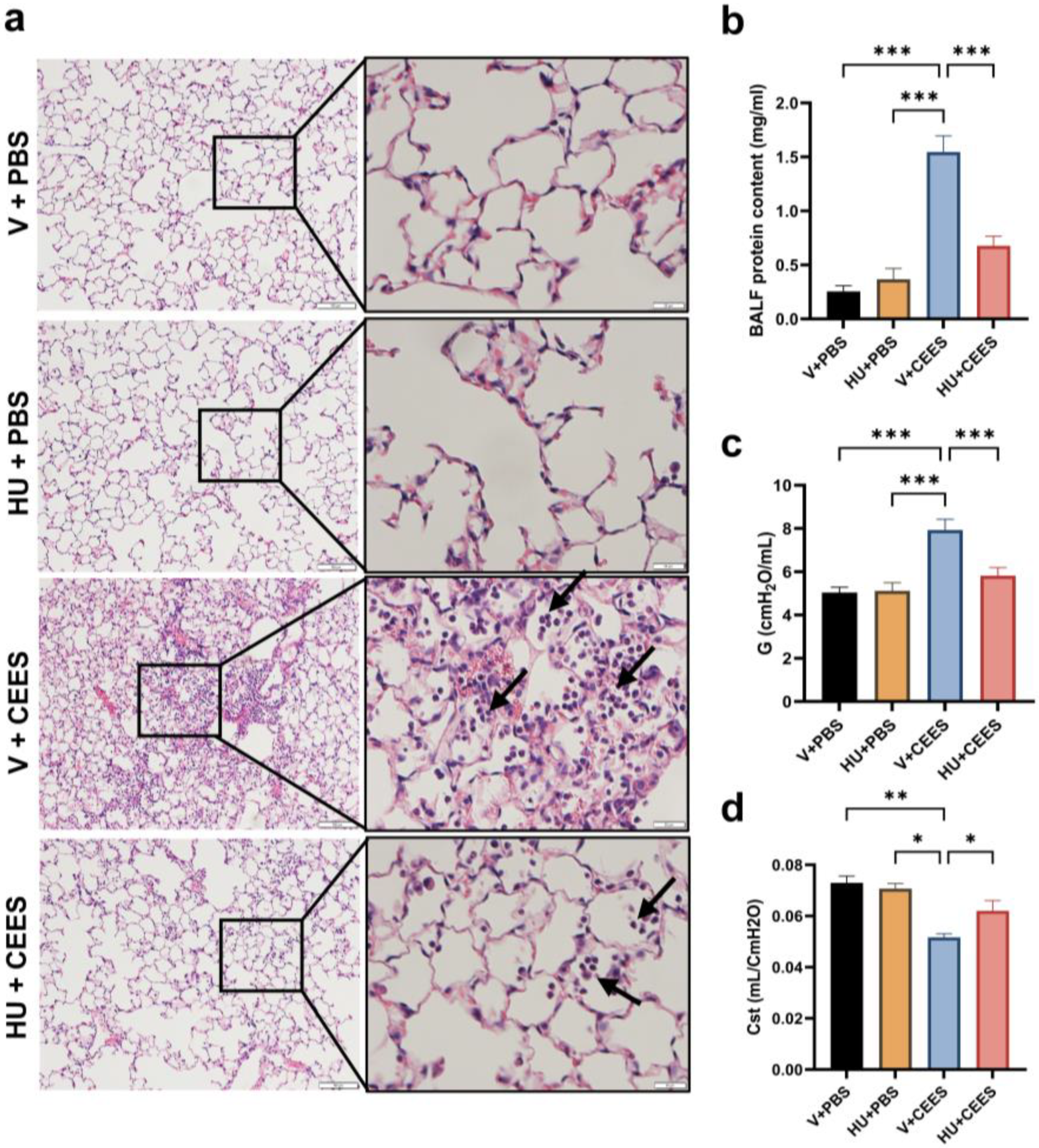 Pharmaceuticals 18 00236 g002