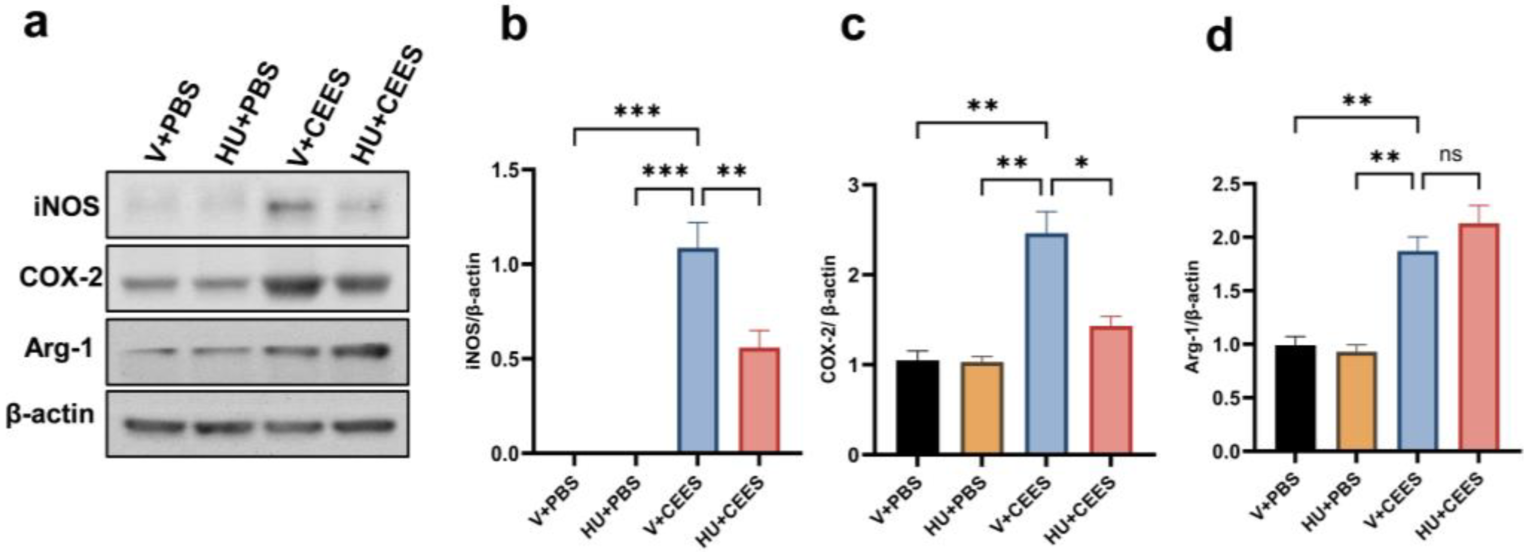 Pharmaceuticals 18 00236 g004