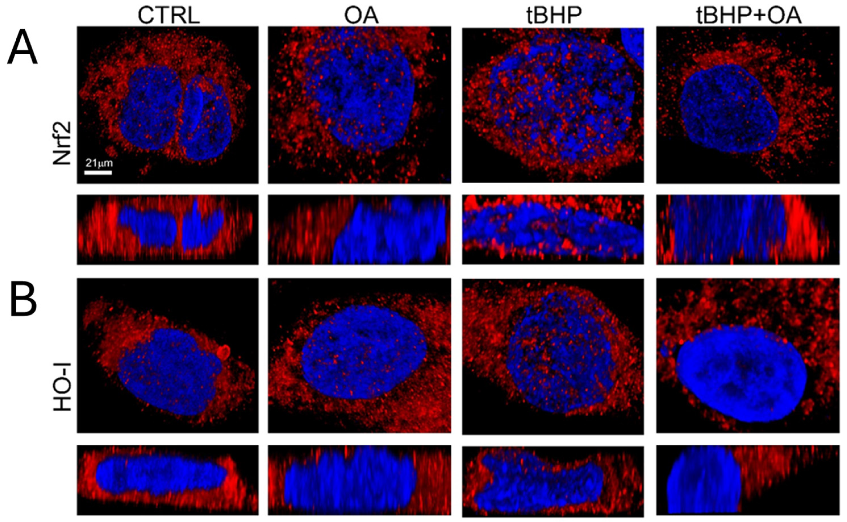 Pharmaceuticals 18 00238 g006