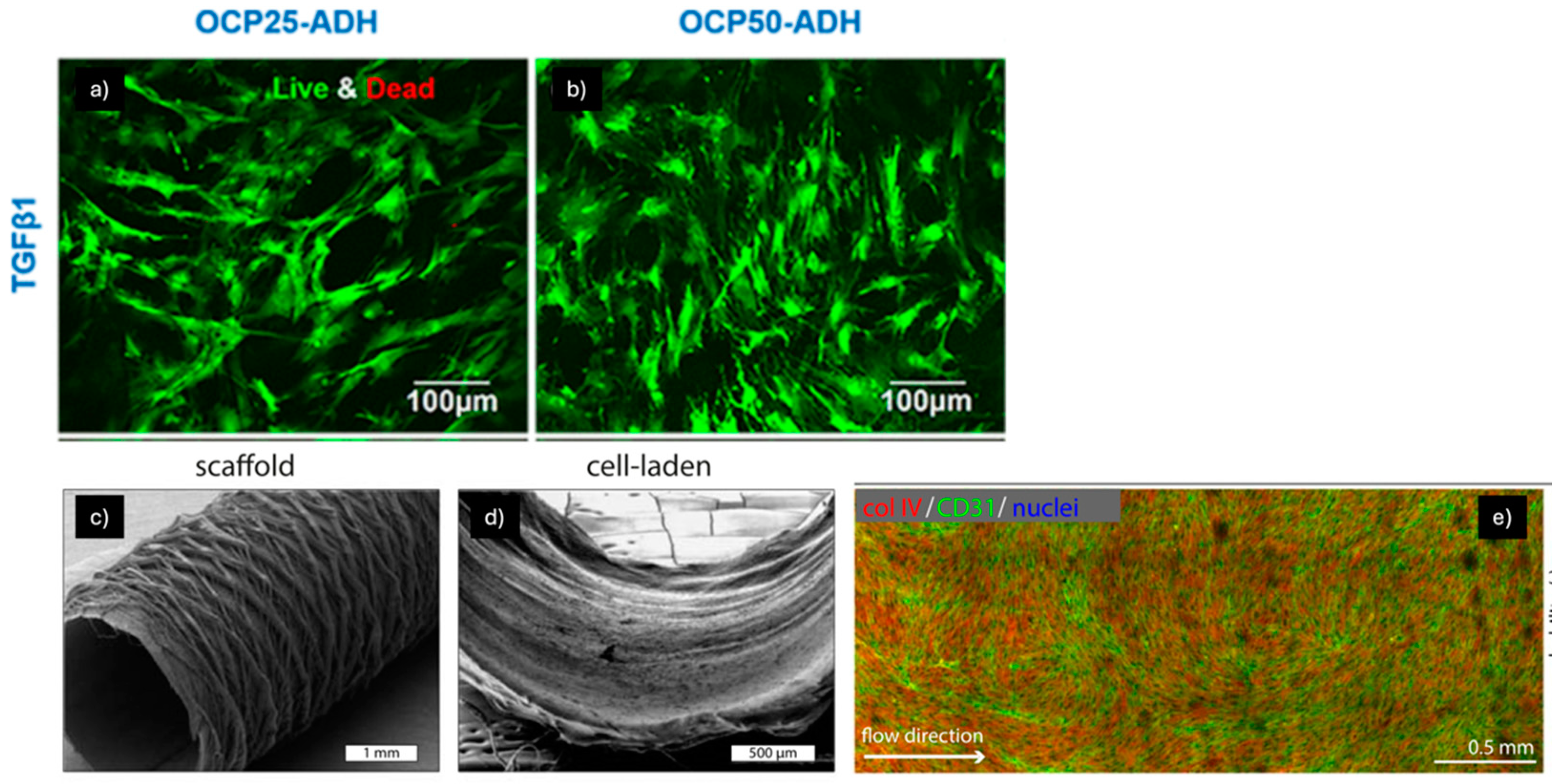 Pharmaceuticals 18 00239 g006