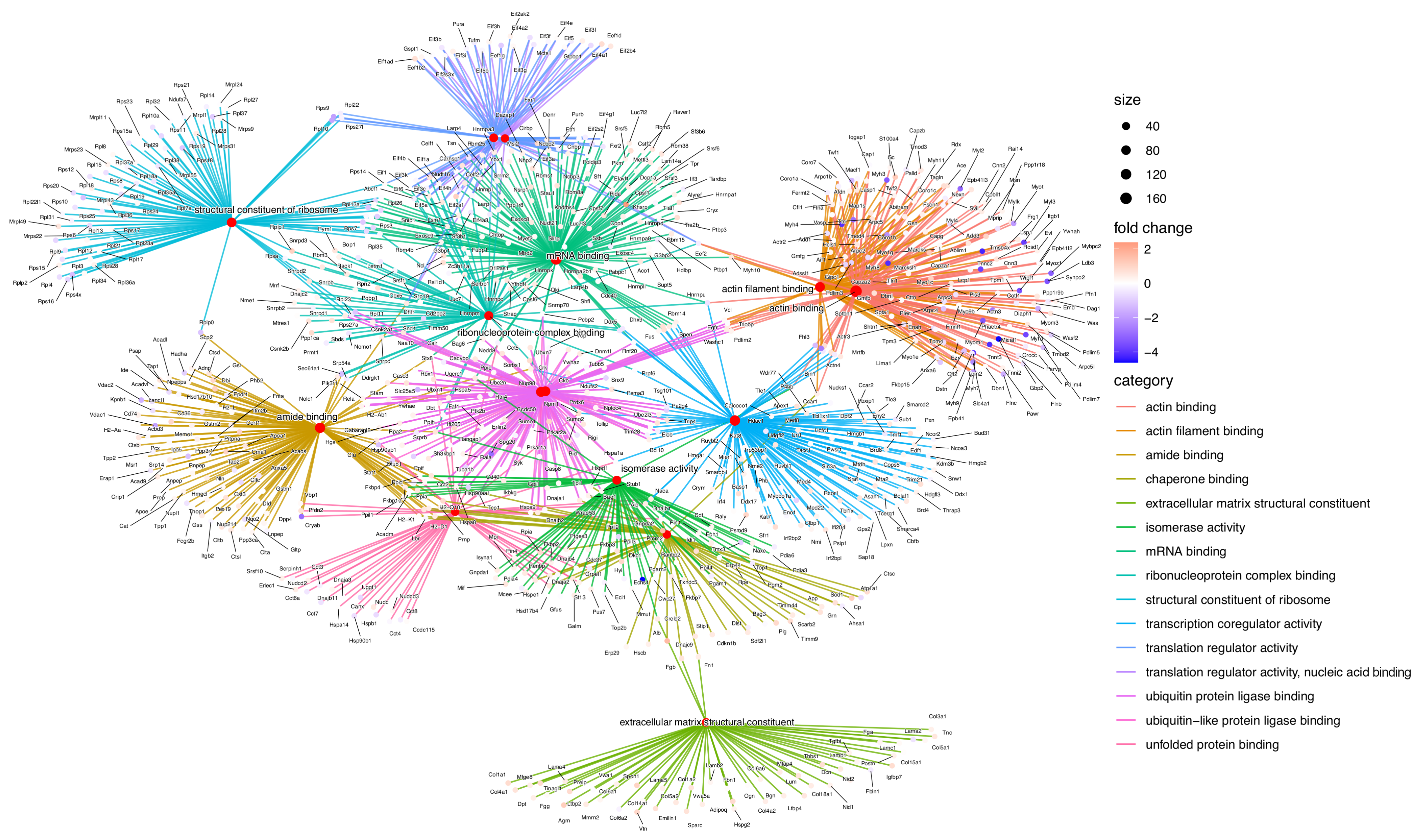 Pharmaceuticals 18 00242 g002 Pharmaceuticals 18 00242 g002
