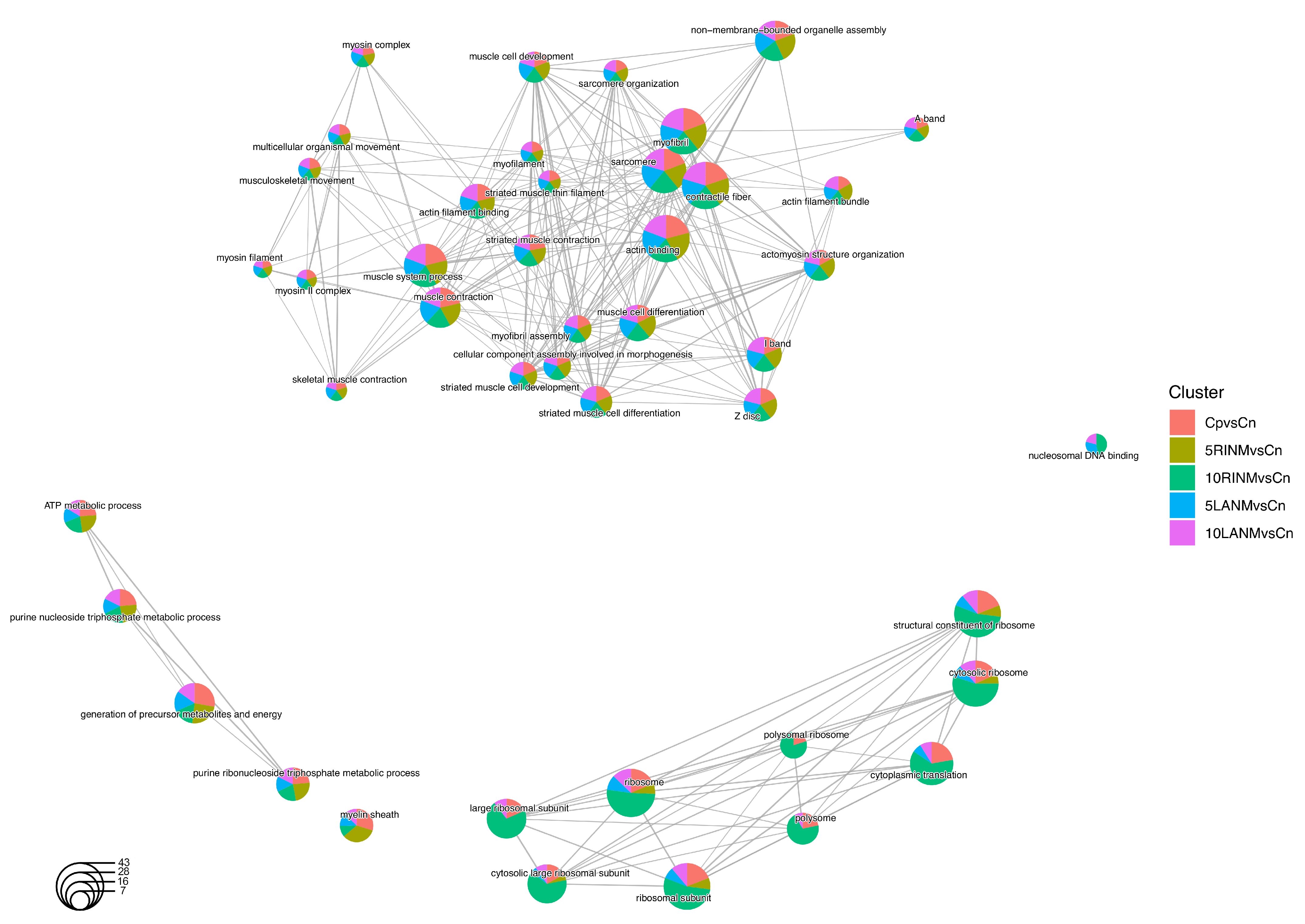 Pharmaceuticals 18 00242 g006 Pharmaceuticals 18 00242 g006