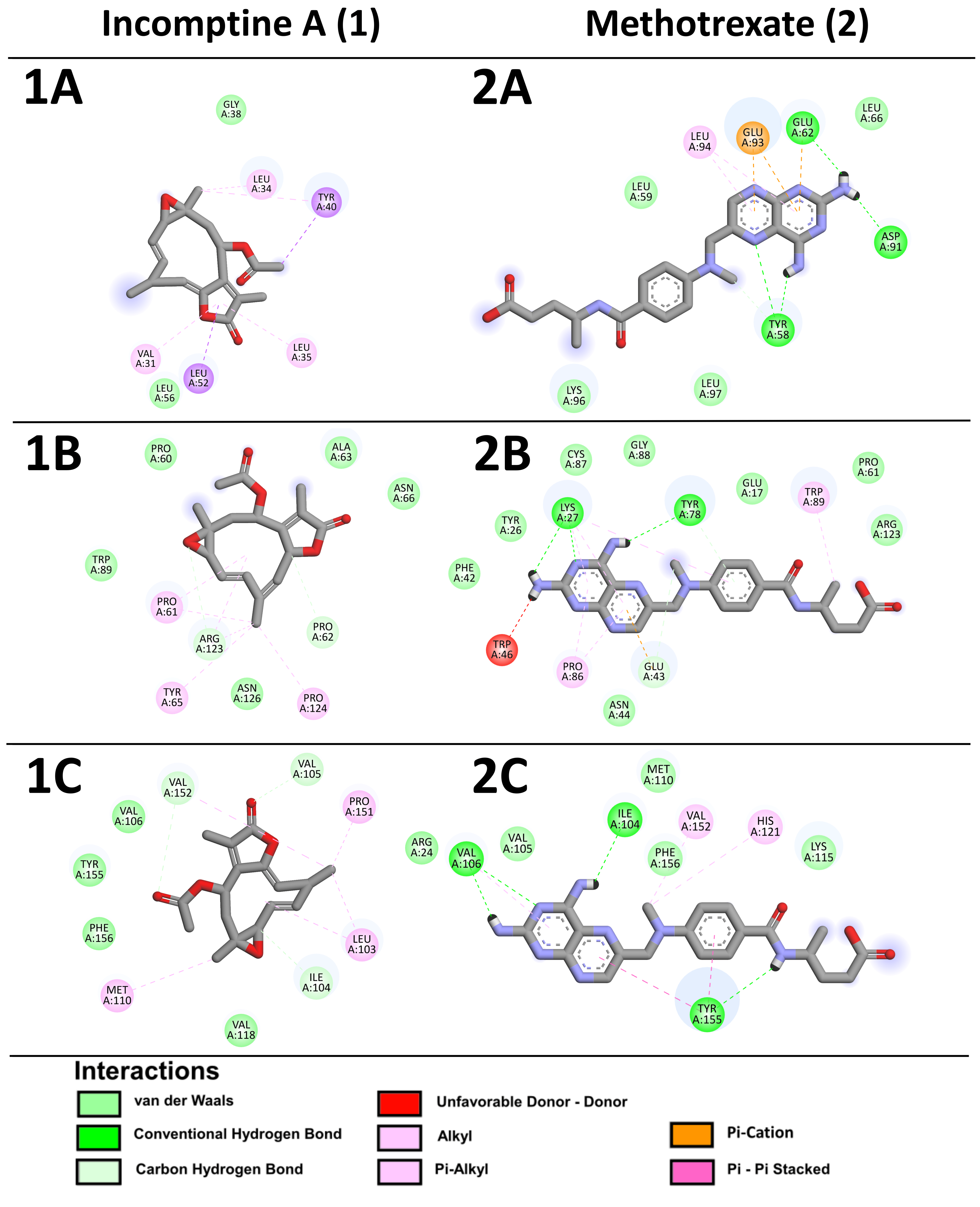 Pharmaceuticals 18 00242 g007a Pharmaceuticals 18 00242 g007a