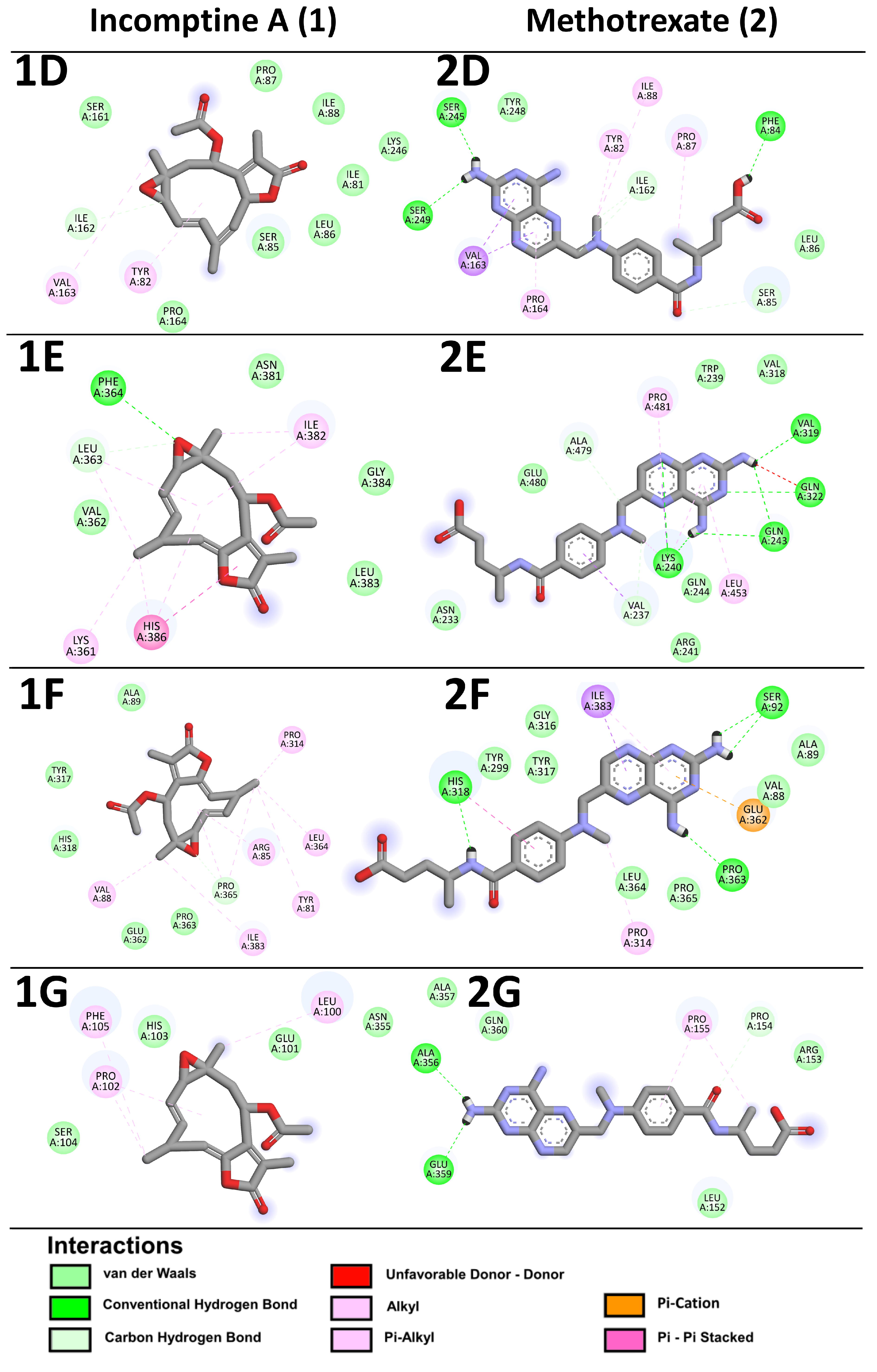 Pharmaceuticals 18 00242 g007b Pharmaceuticals 18 00242 g007b