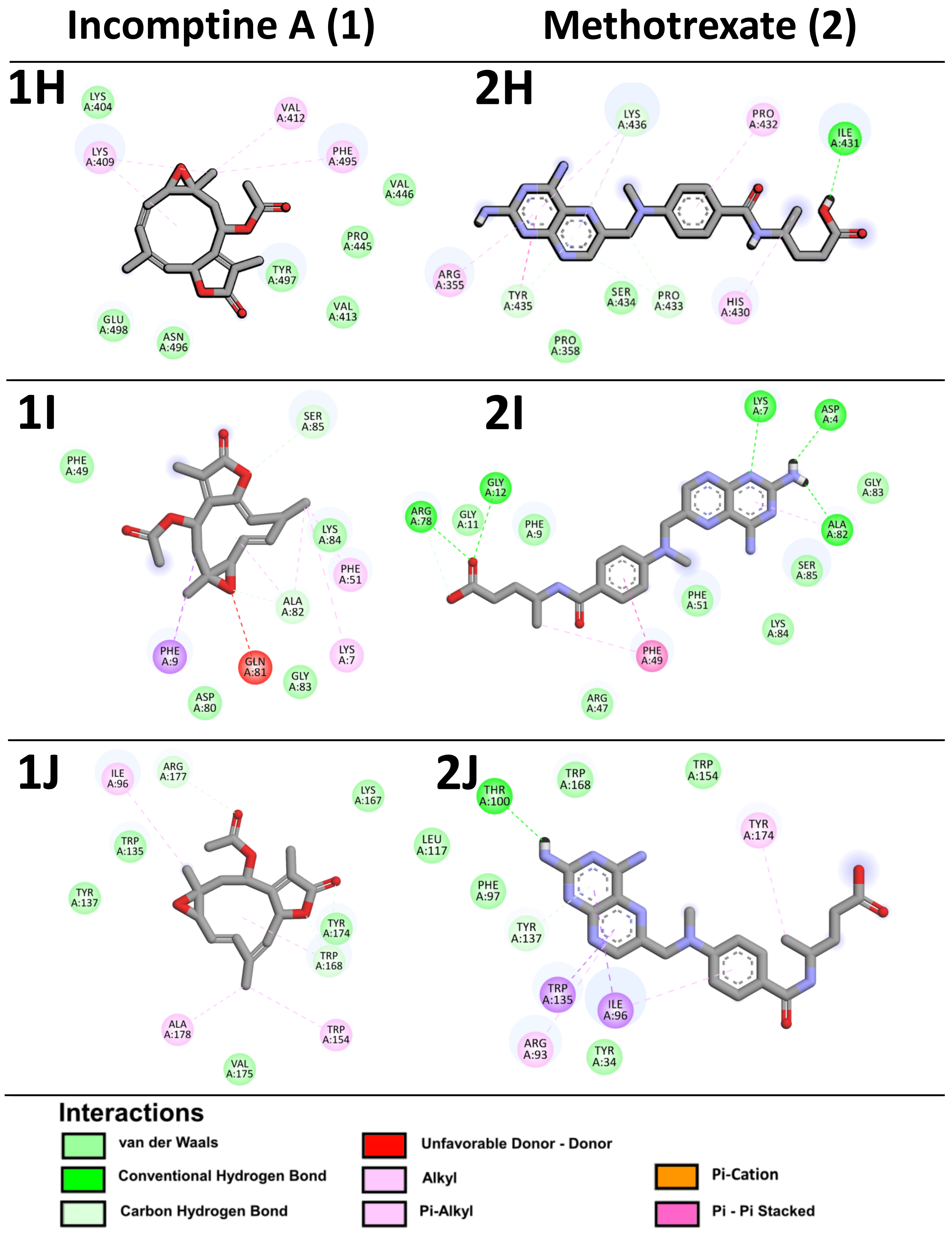 Pharmaceuticals 18 00242 g007c Pharmaceuticals 18 00242 g007c