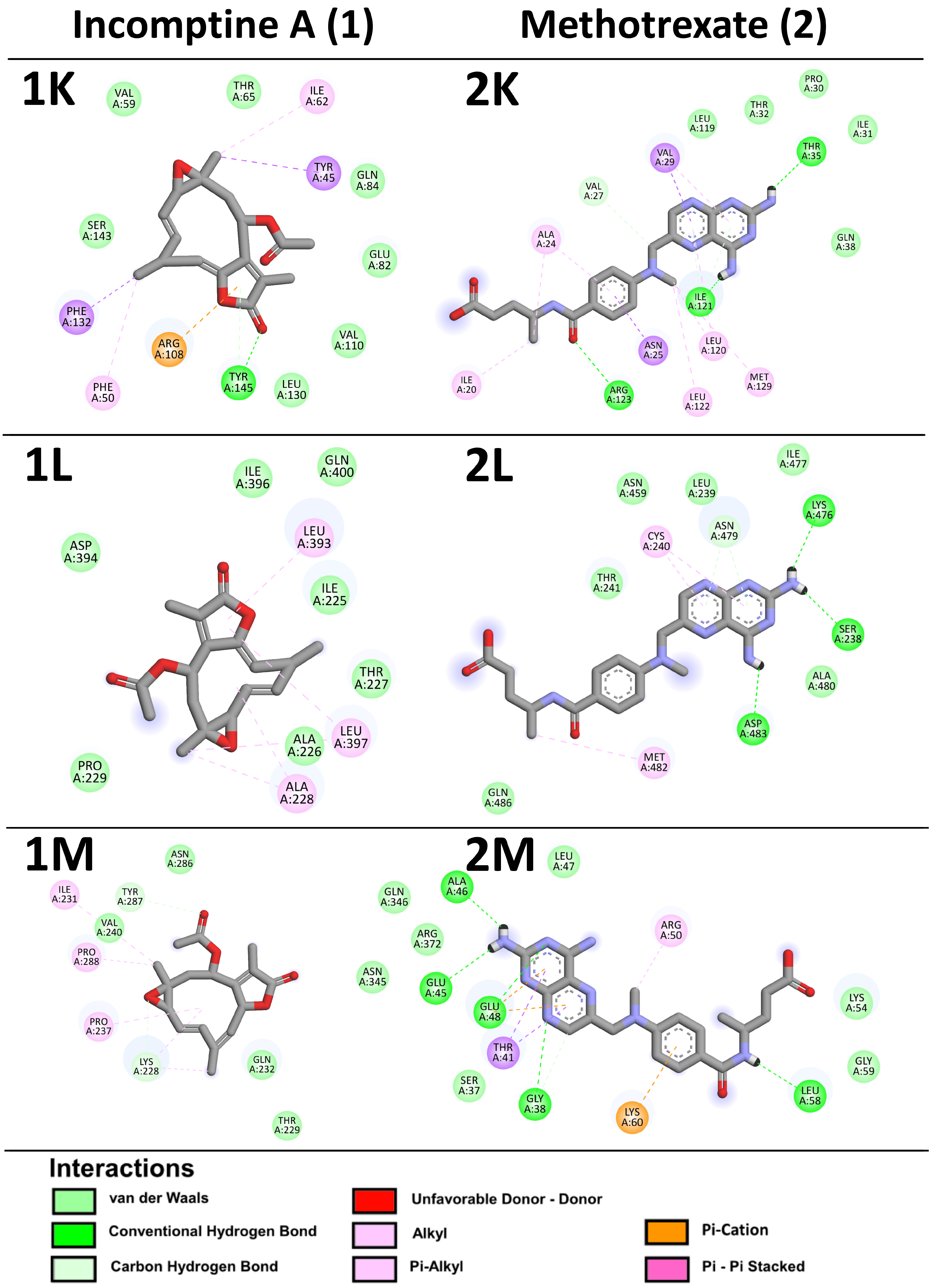 Pharmaceuticals 18 00242 g007d Pharmaceuticals 18 00242 g007d
