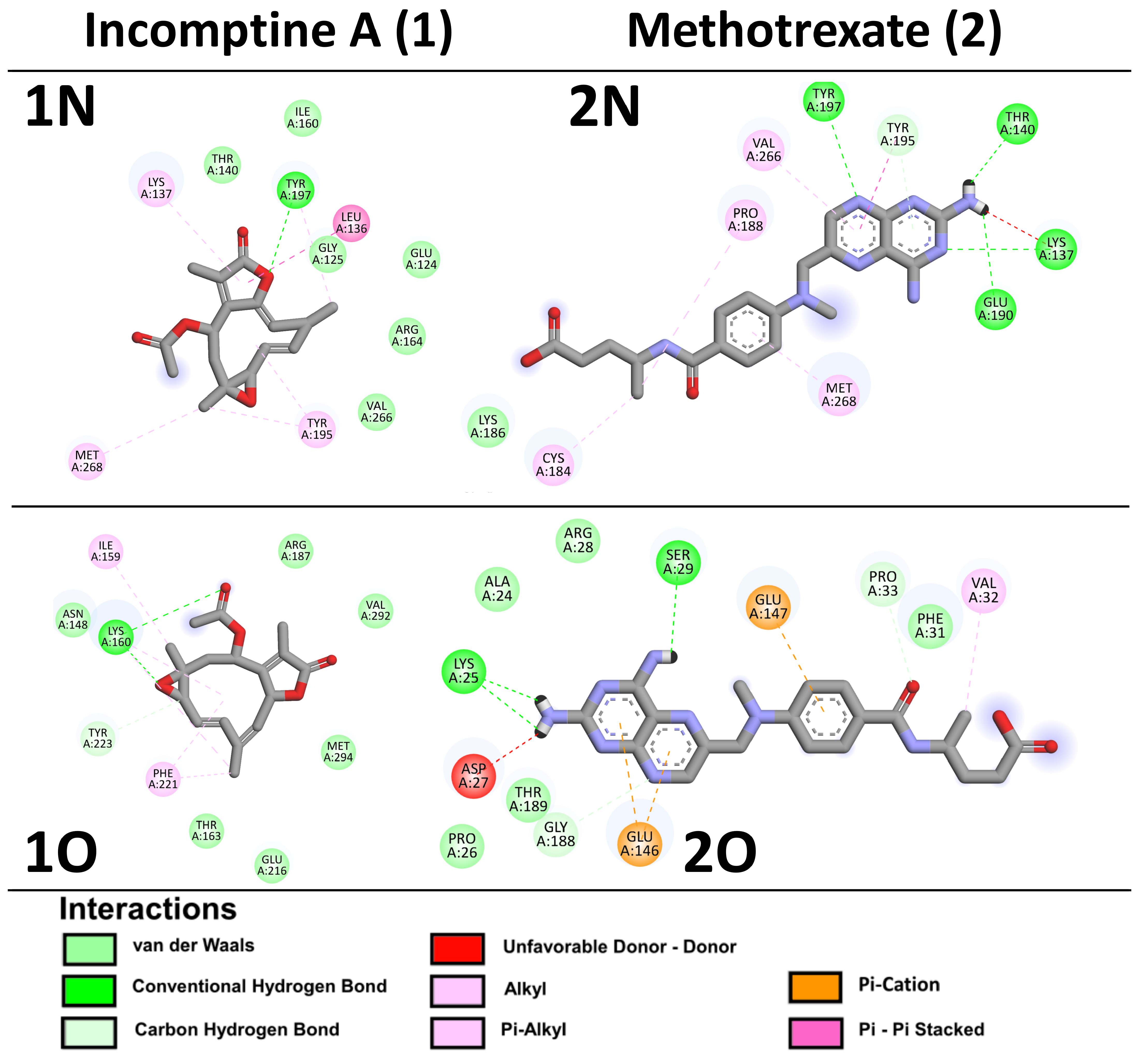 Pharmaceuticals 18 00242 g007e Pharmaceuticals 18 00242 g007e