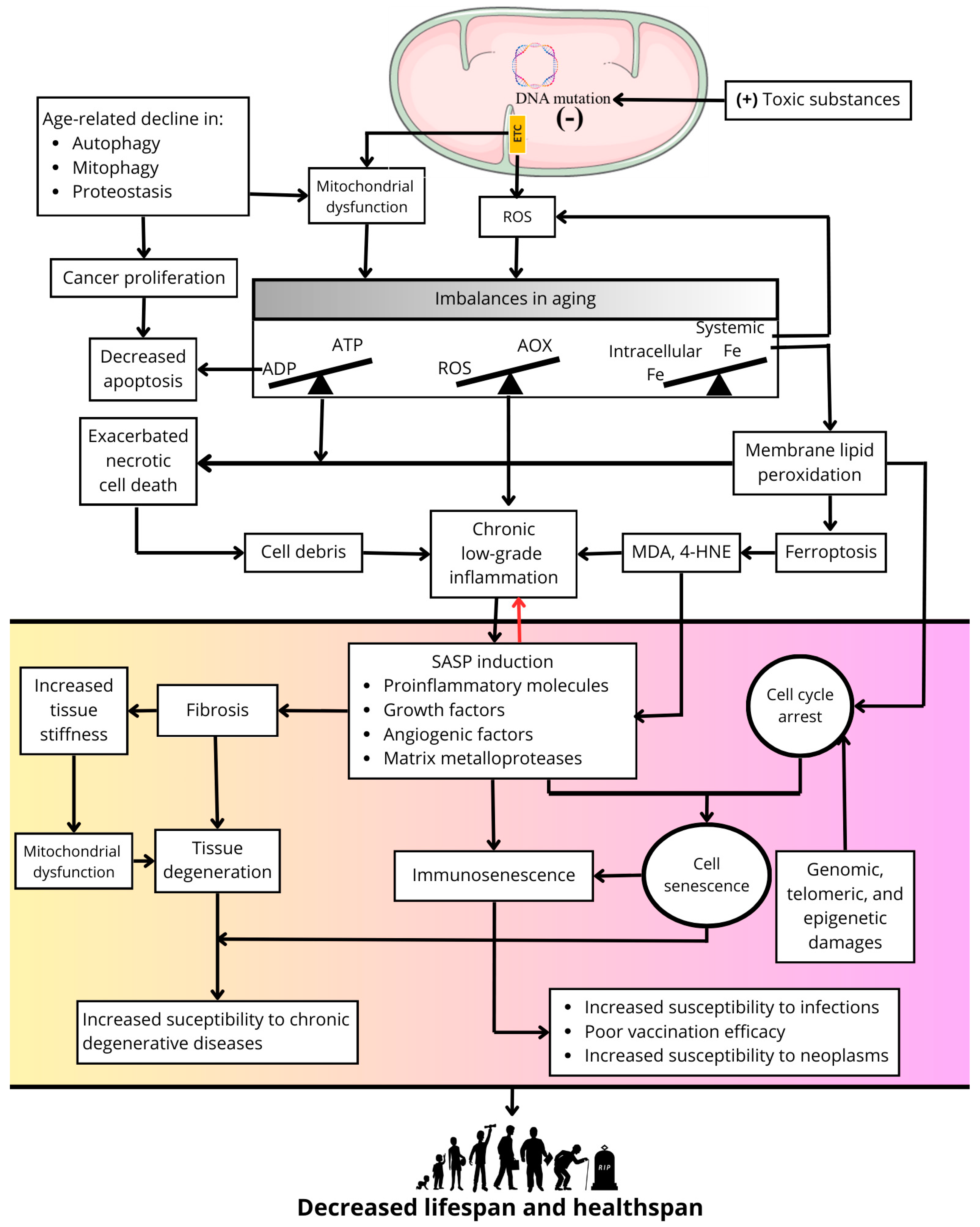 Pharmaceuticals 18 00246 g001