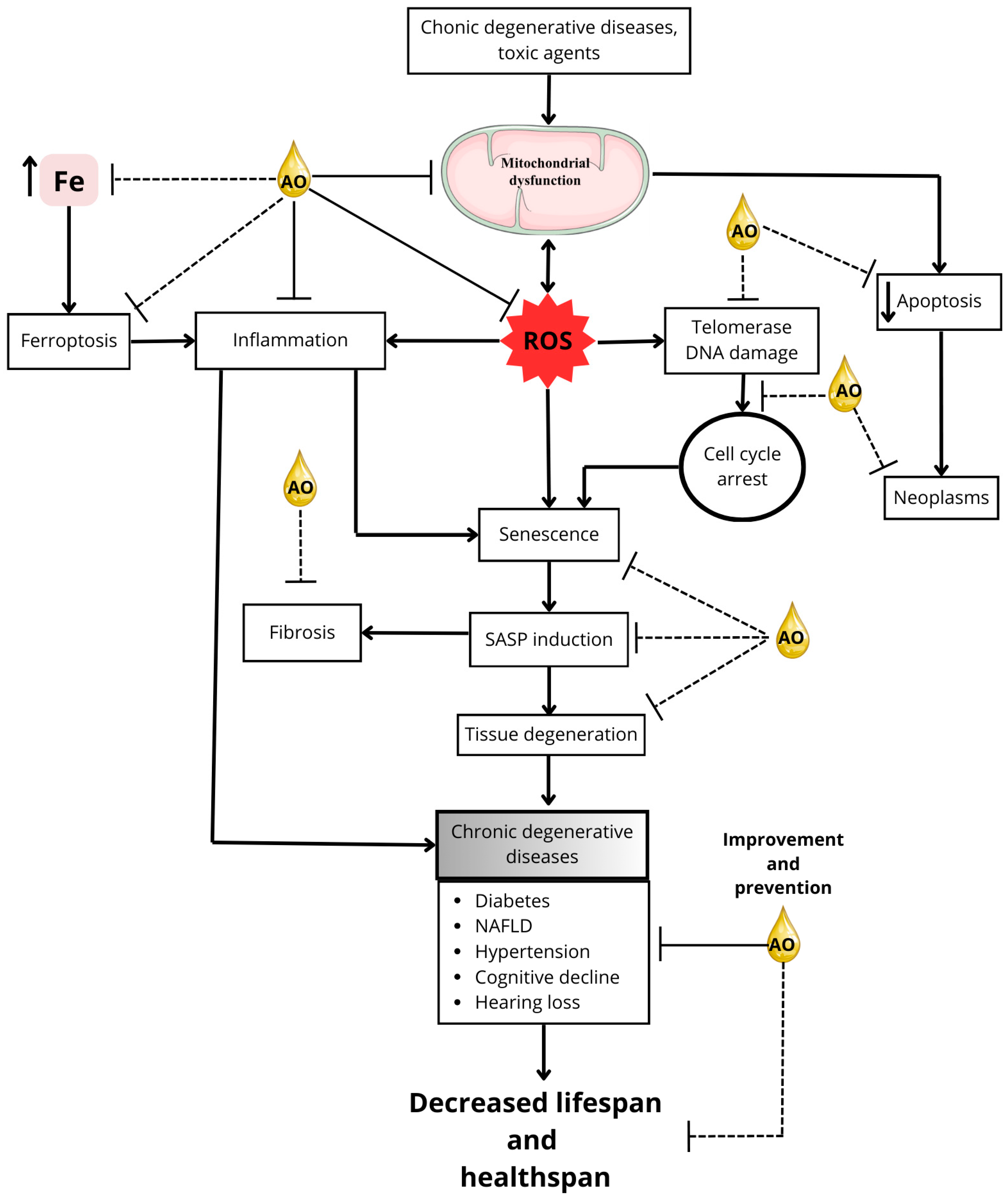 Pharmaceuticals 18 00246 g002