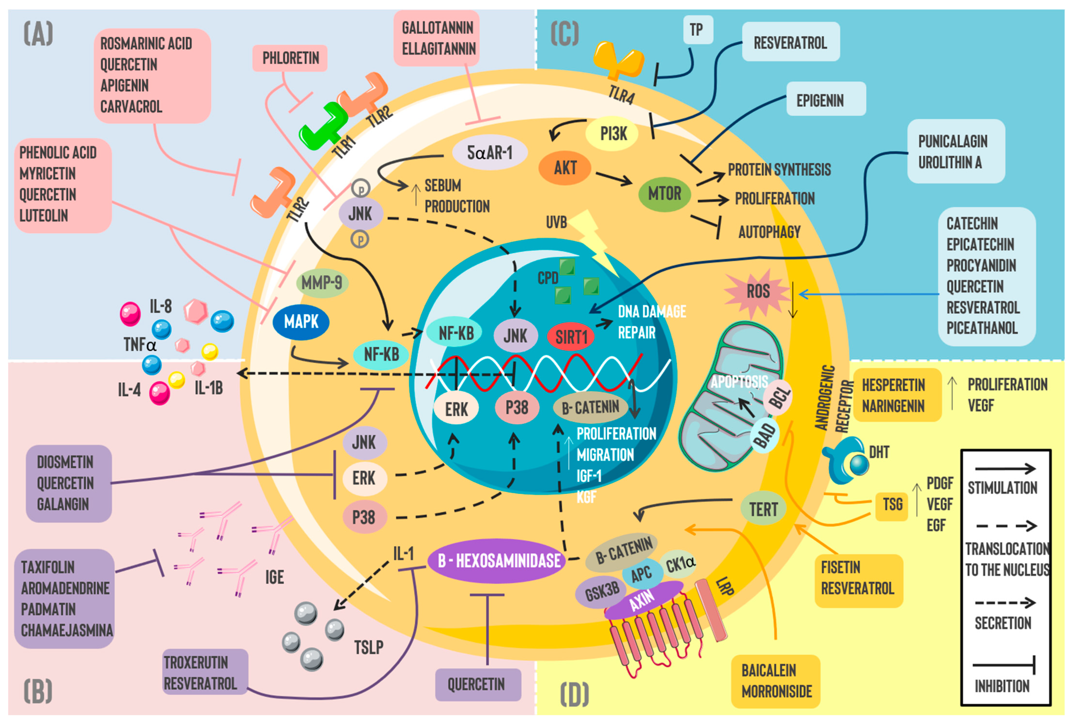 Pharmaceuticals 18 00247 g001 Pharmaceuticals 18 00247 g001