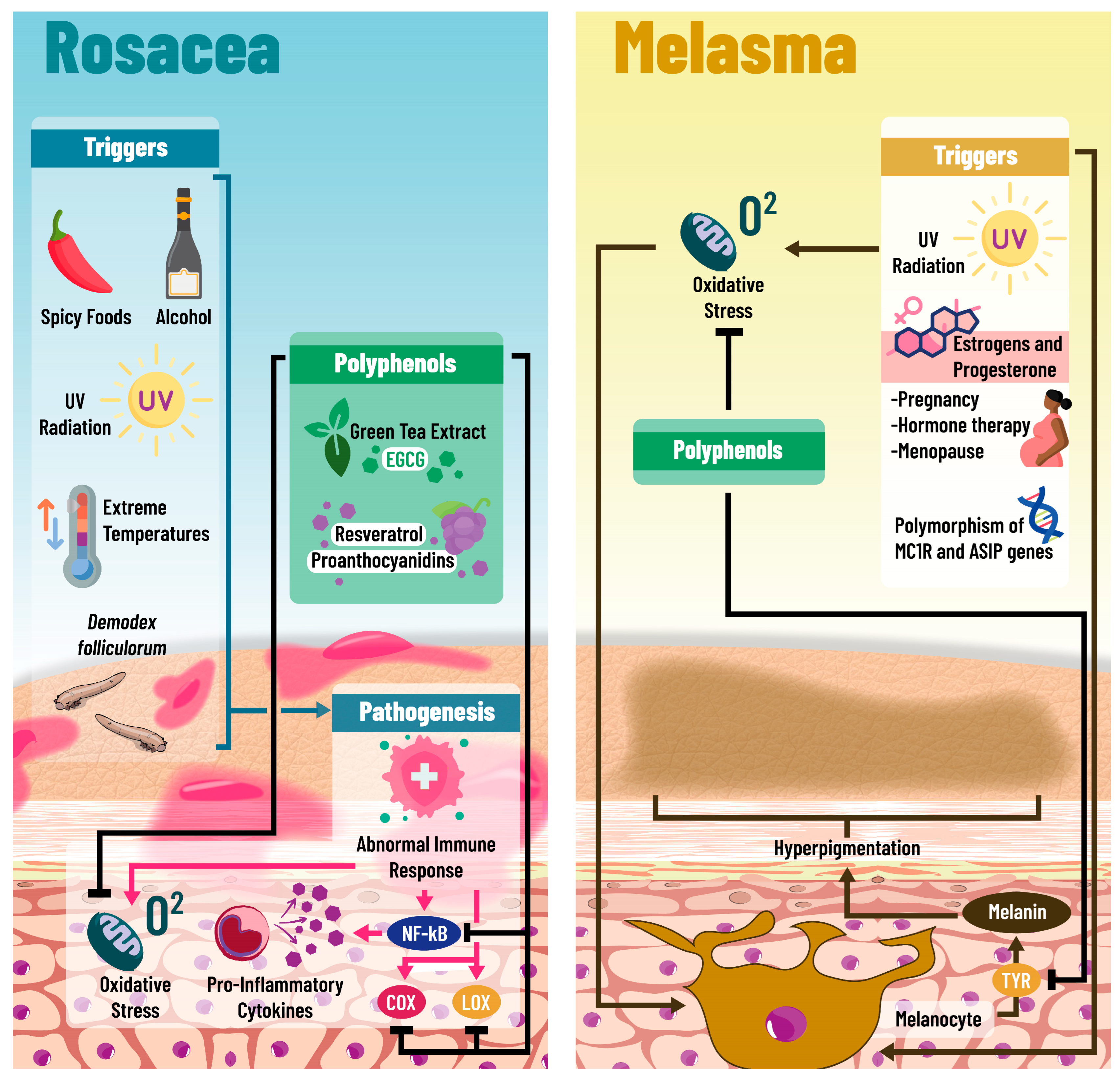 Pharmaceuticals 18 00247 g002 Pharmaceuticals 18 00247 g002