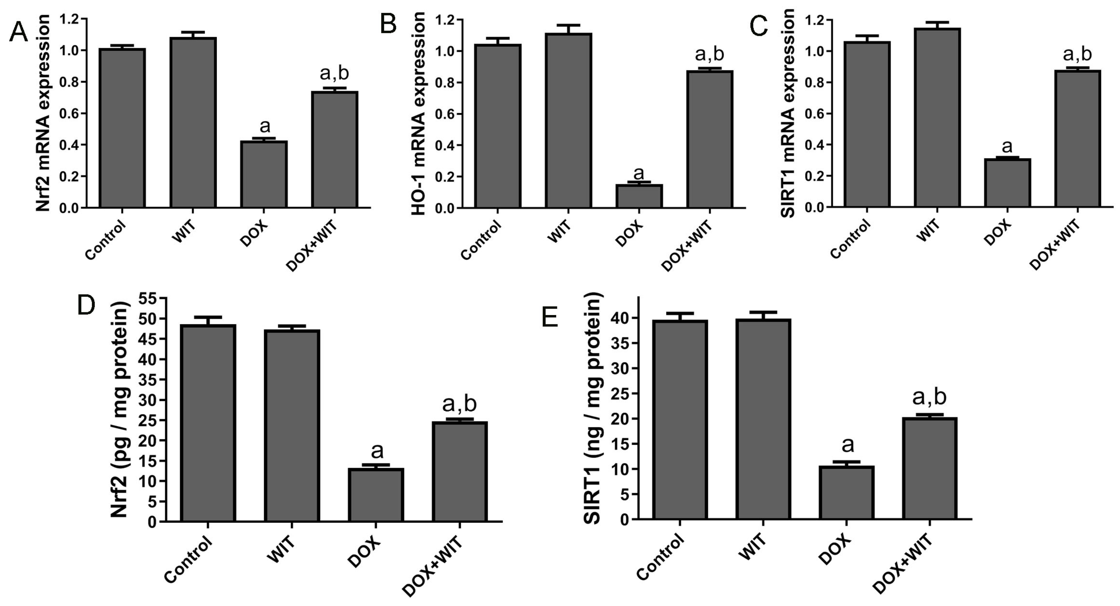 Pharmaceuticals 18 00248 g007
