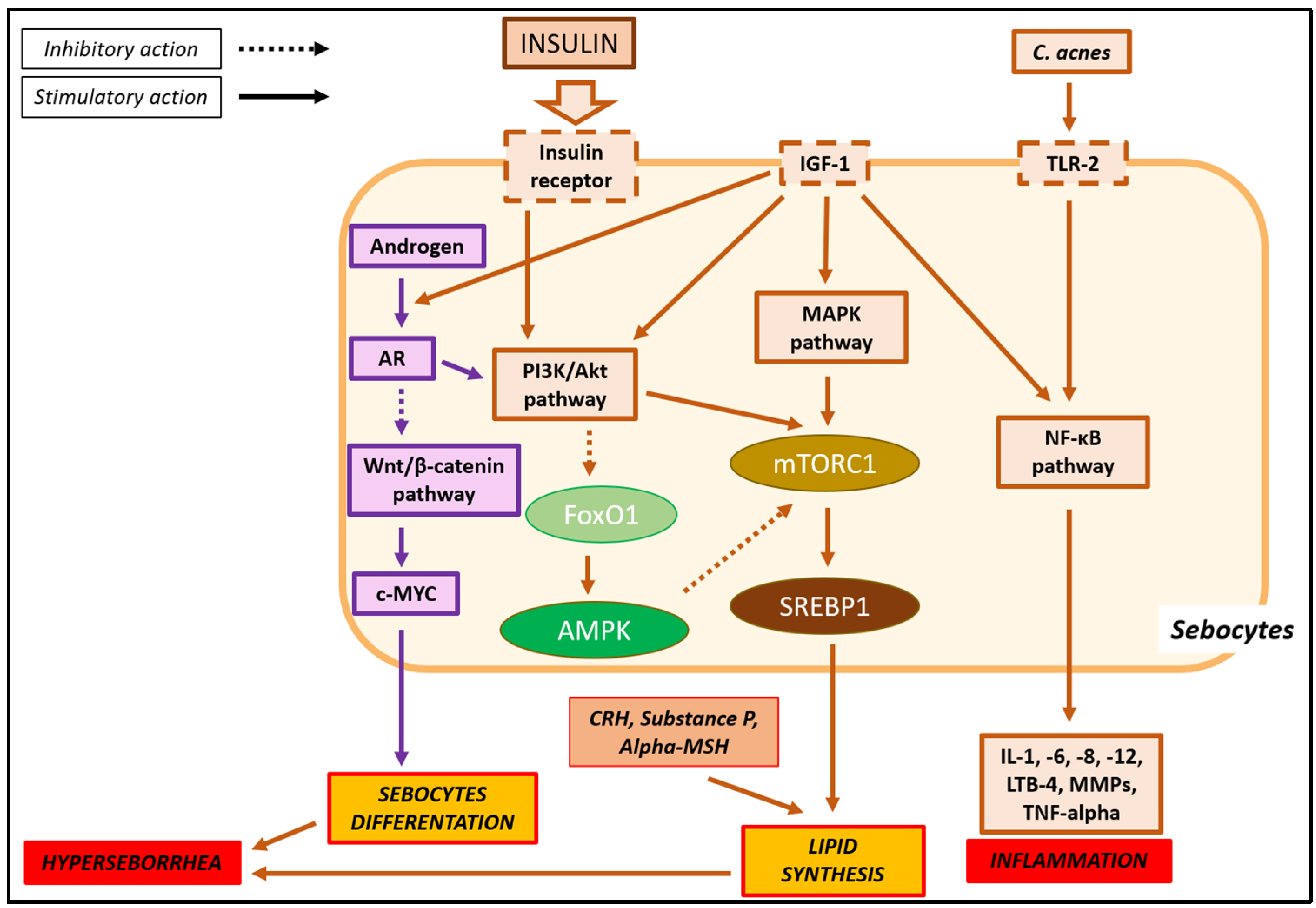 Pharmaceuticals 18 00251 g001 Pharmaceuticals 18 00251 g001
