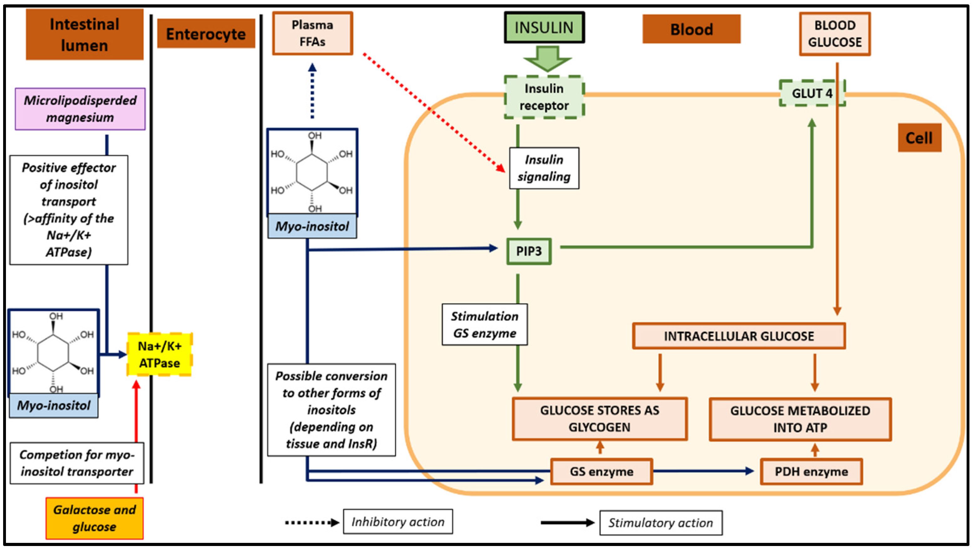 Pharmaceuticals 18 00251 g002 Pharmaceuticals 18 00251 g002