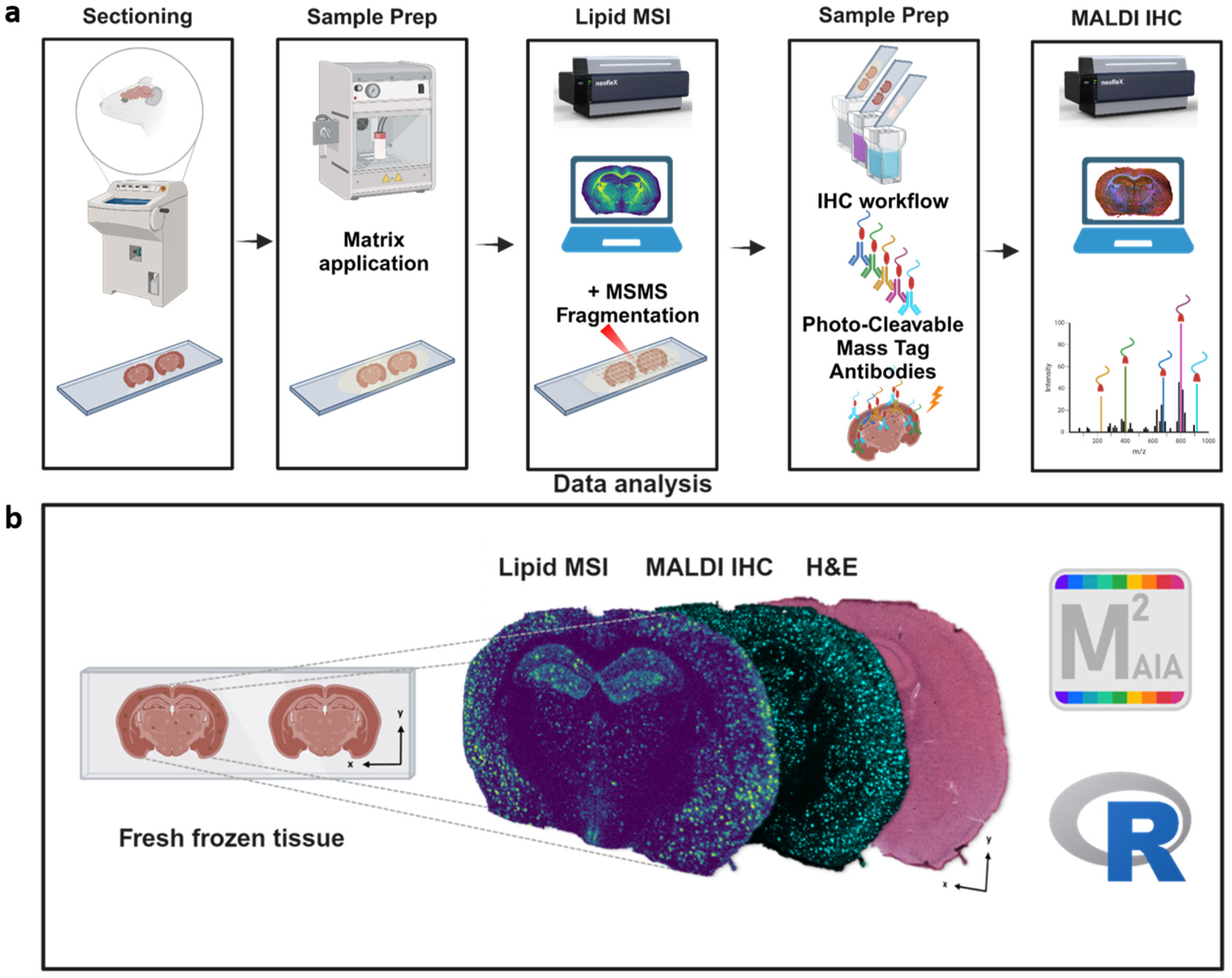 Pharmaceuticals 18 00252 g001