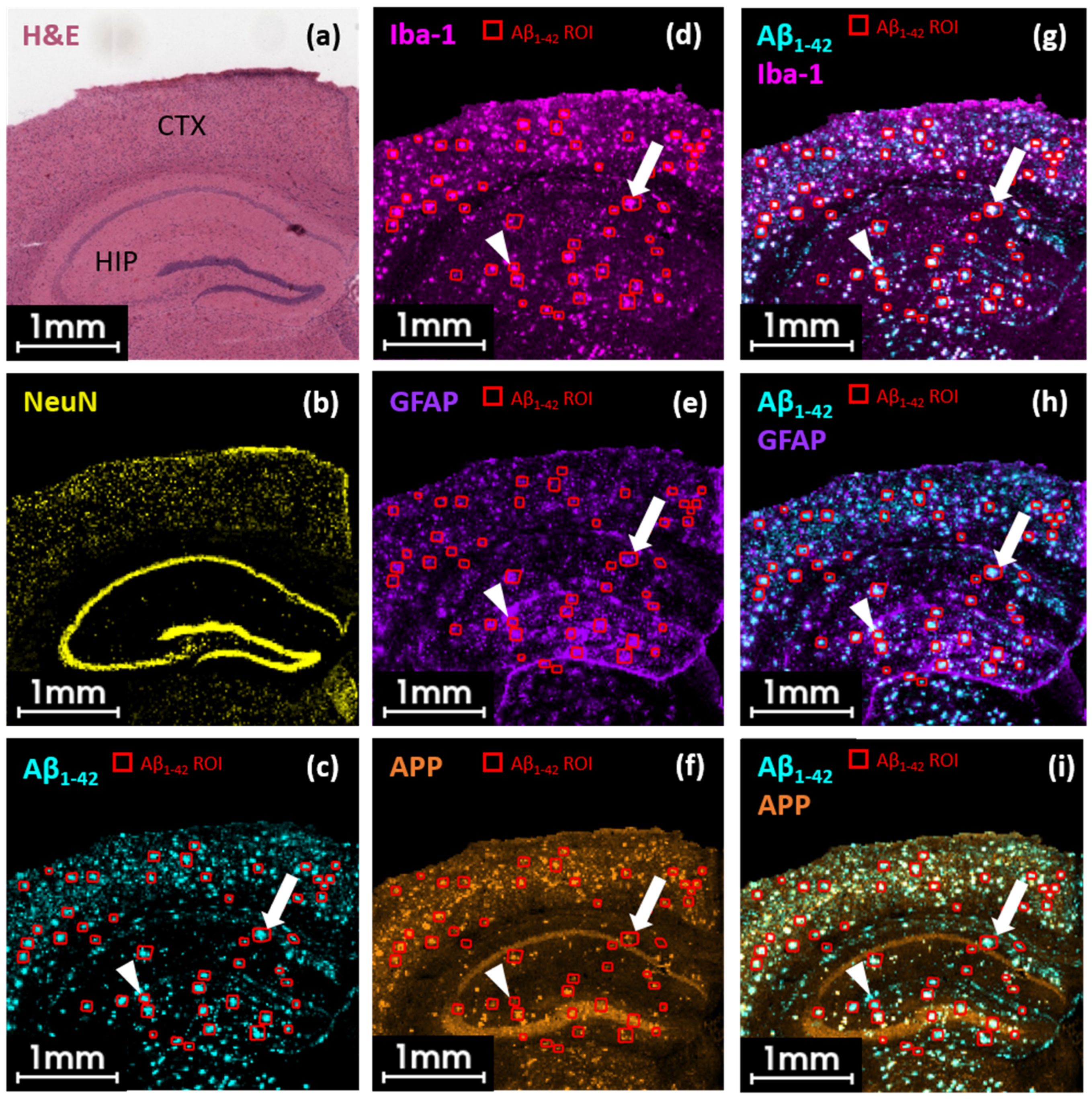 Pharmaceuticals 18 00252 g002