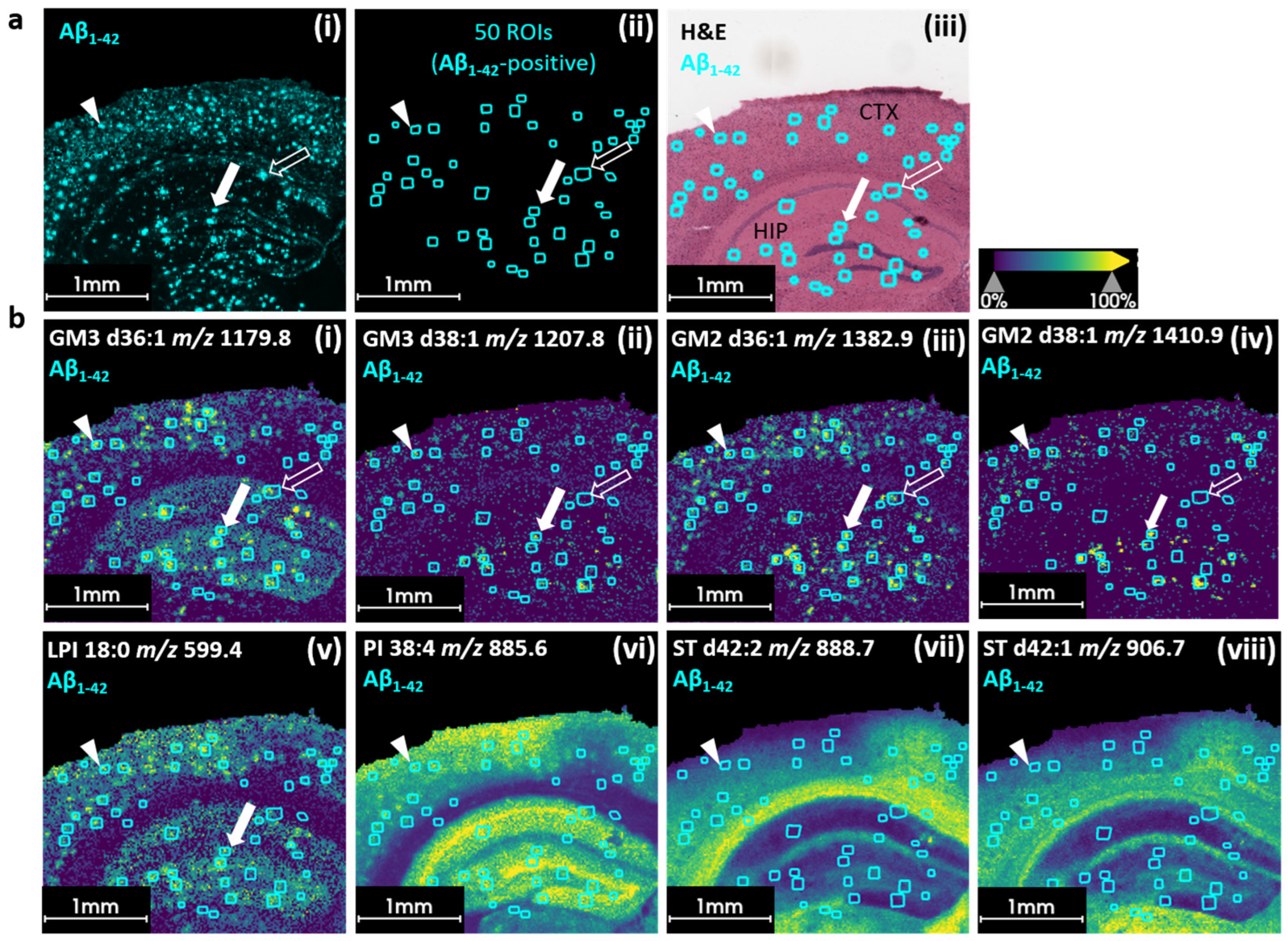 Pharmaceuticals 18 00252 g003