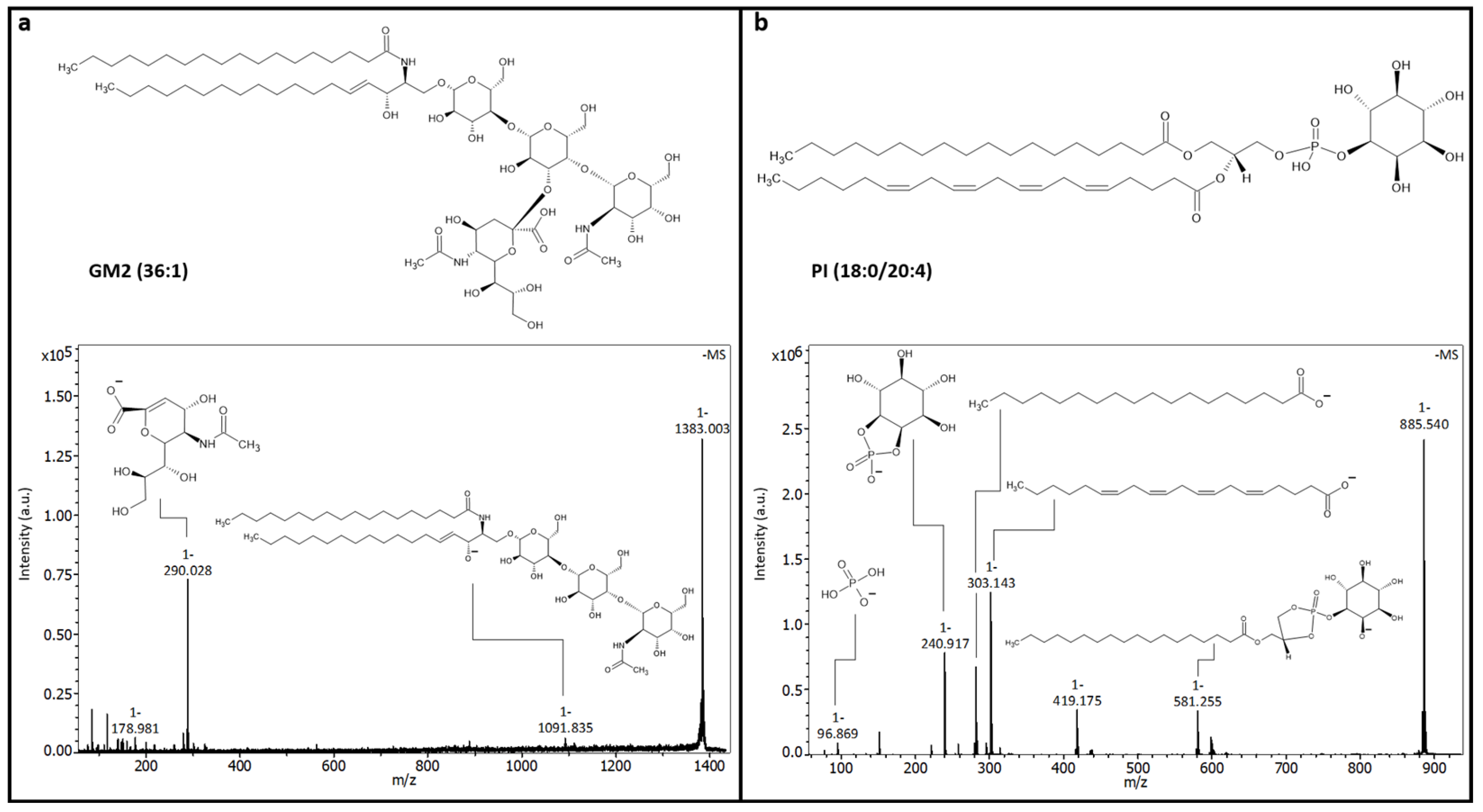 Pharmaceuticals 18 00252 g004