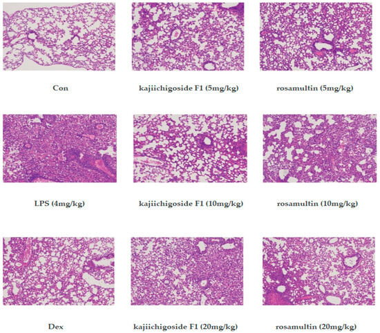 Study on the Optimization of an Extraction Process of Two