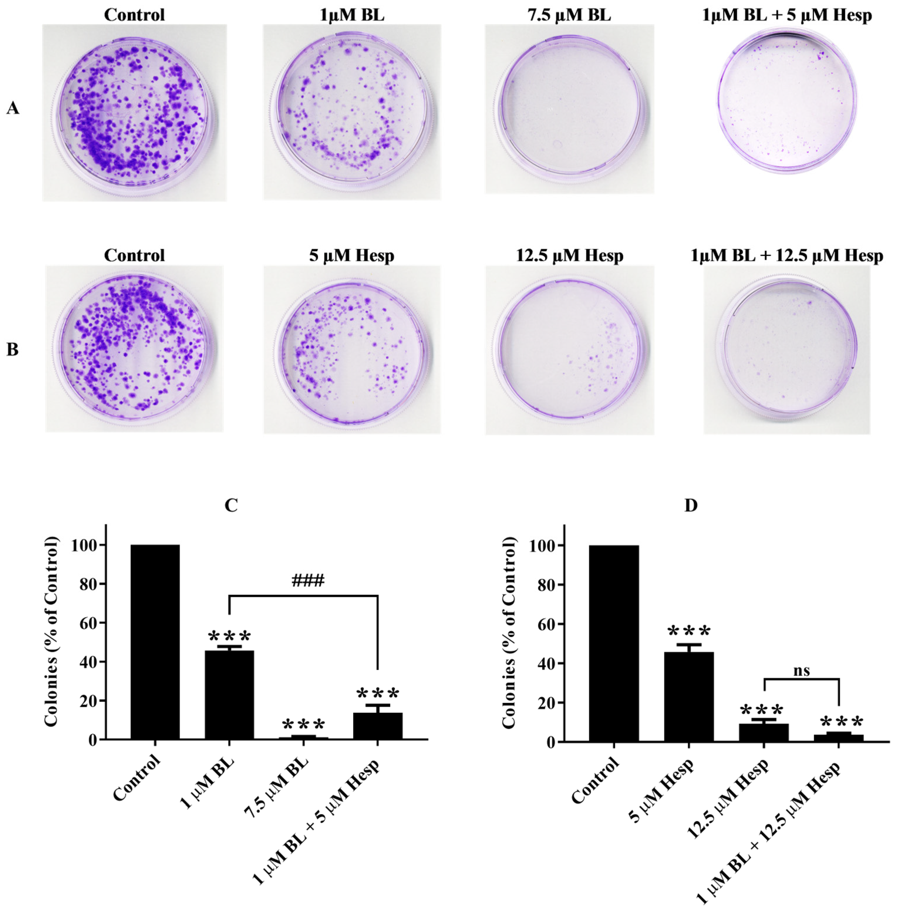 Pharmaceuticals 18 00254 g003