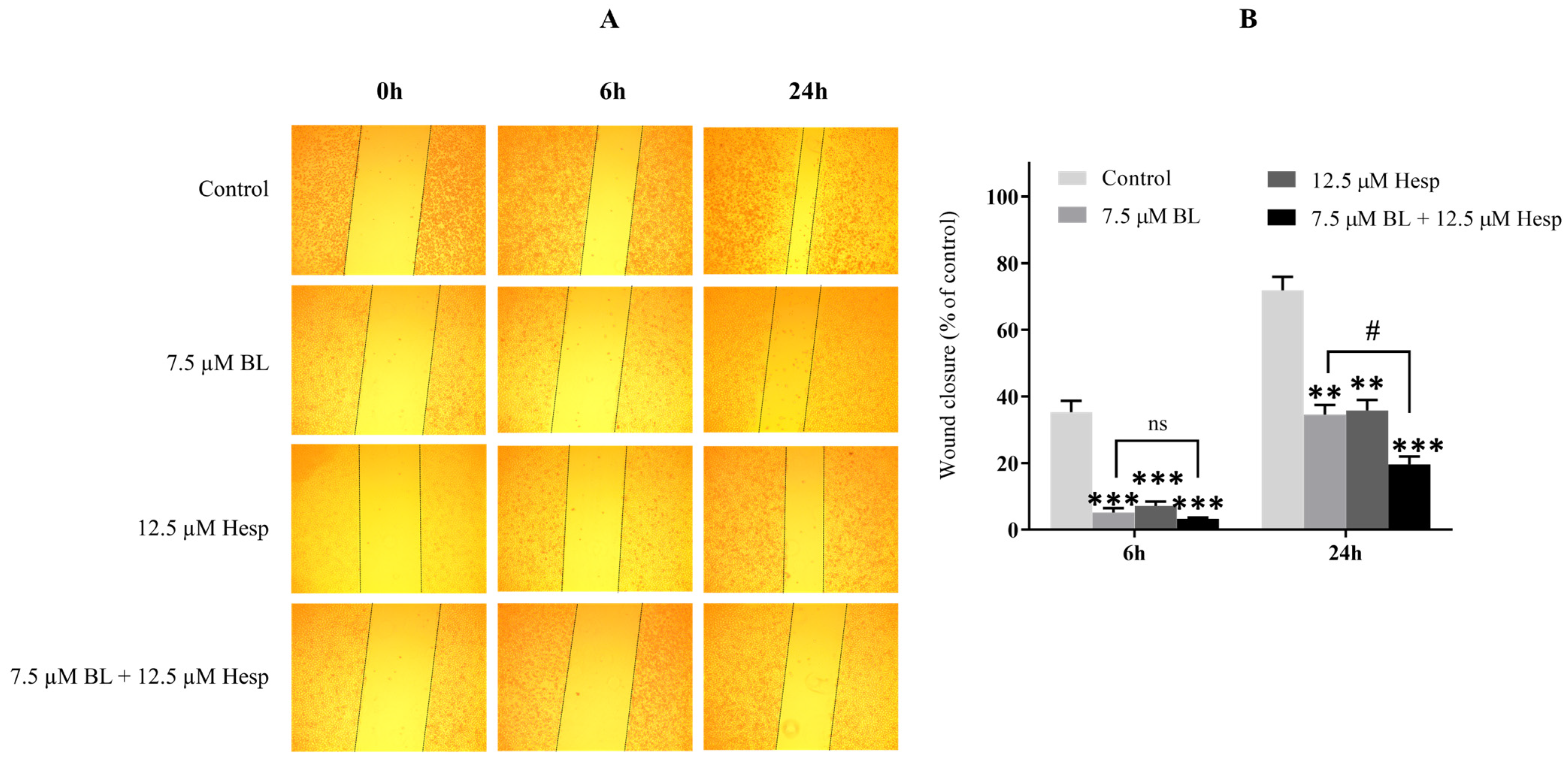 Pharmaceuticals 18 00254 g004