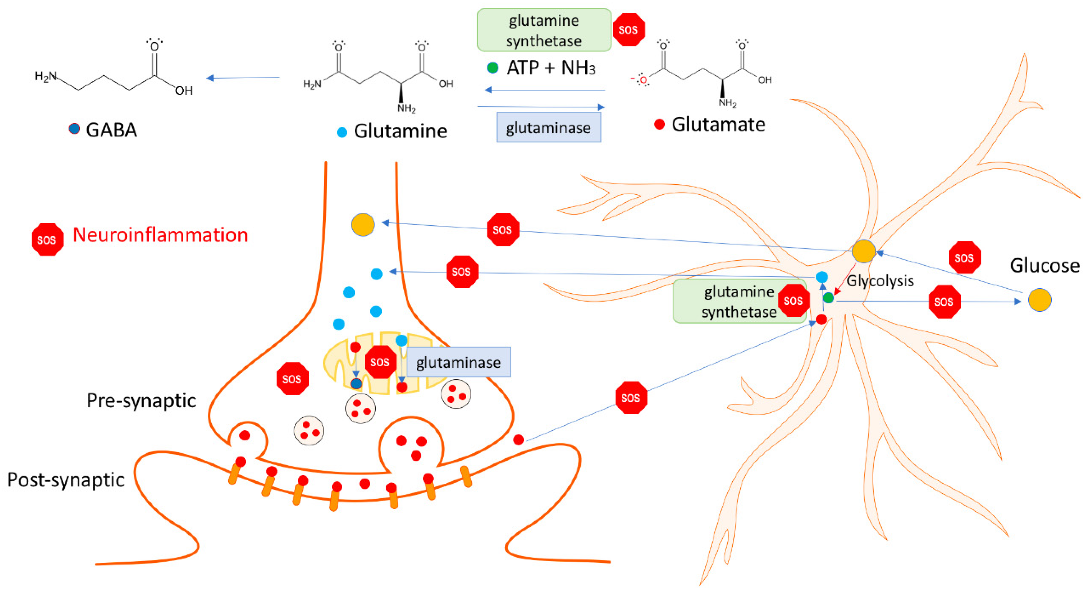 Pharmaceuticals 18 00261 g003 Pharmaceuticals 18 00261 g003