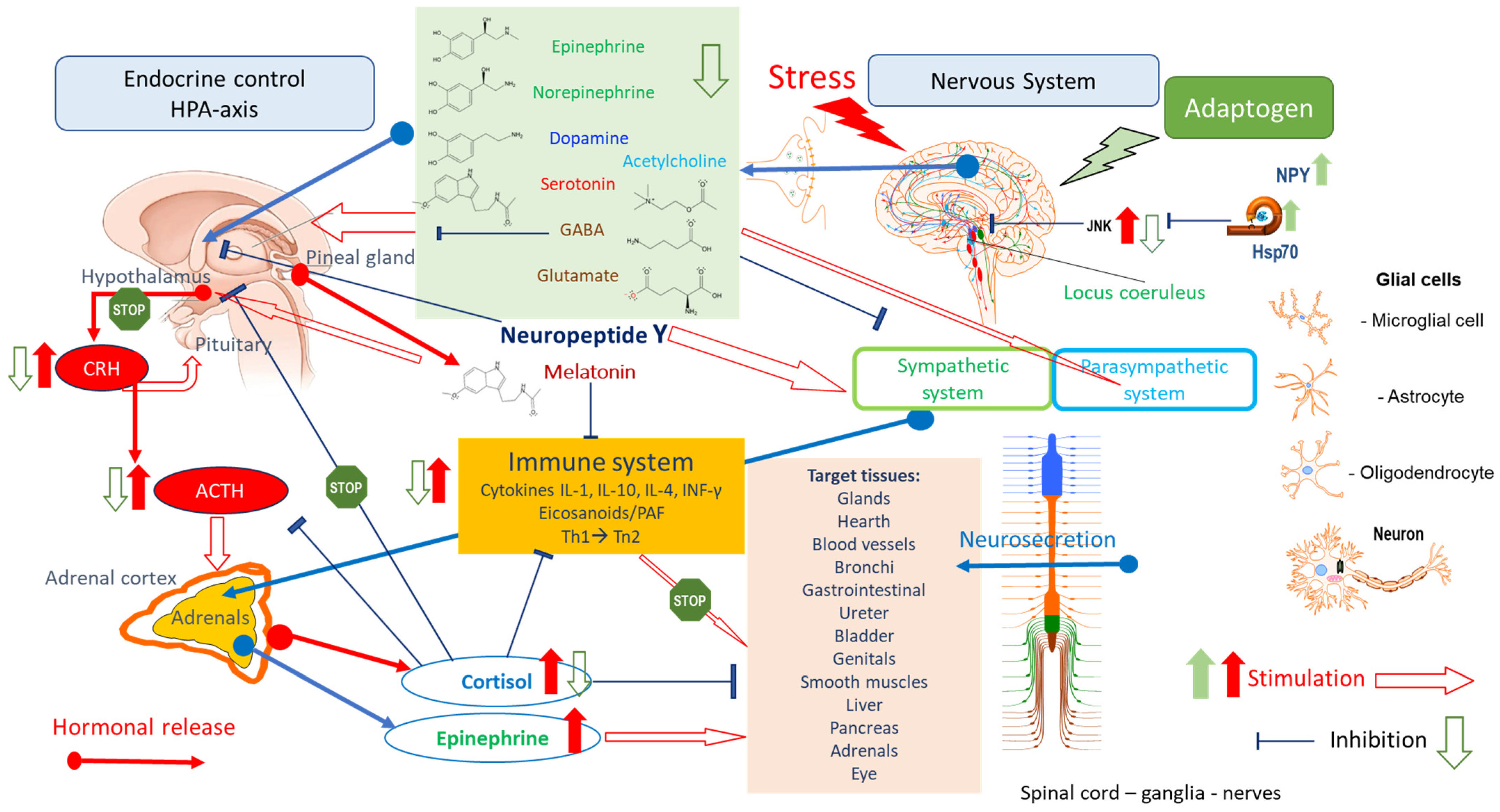 Pharmaceuticals 18 00261 g004 Pharmaceuticals 18 00261 g004