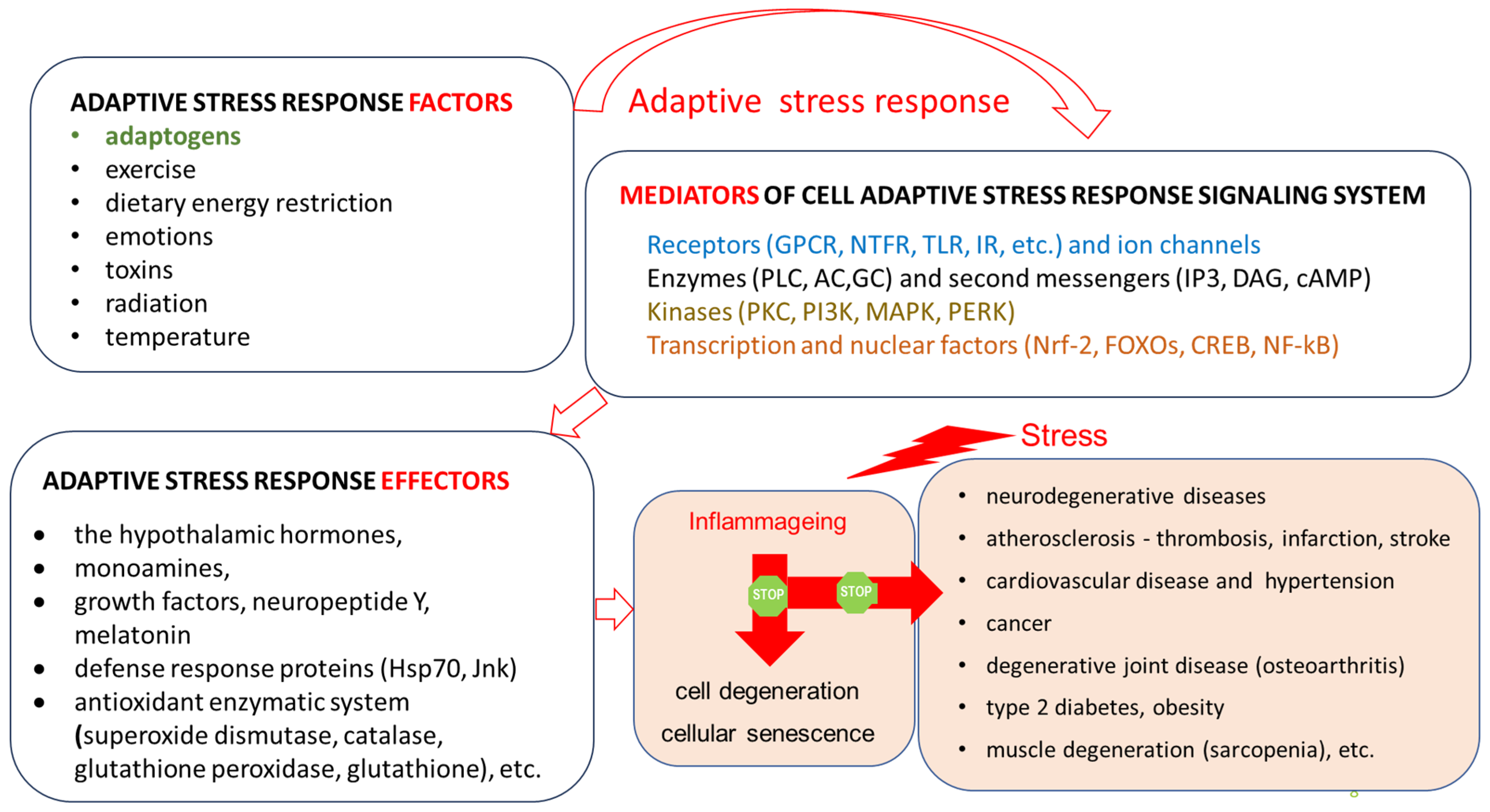 Pharmaceuticals 18 00261 g006 Pharmaceuticals 18 00261 g006
