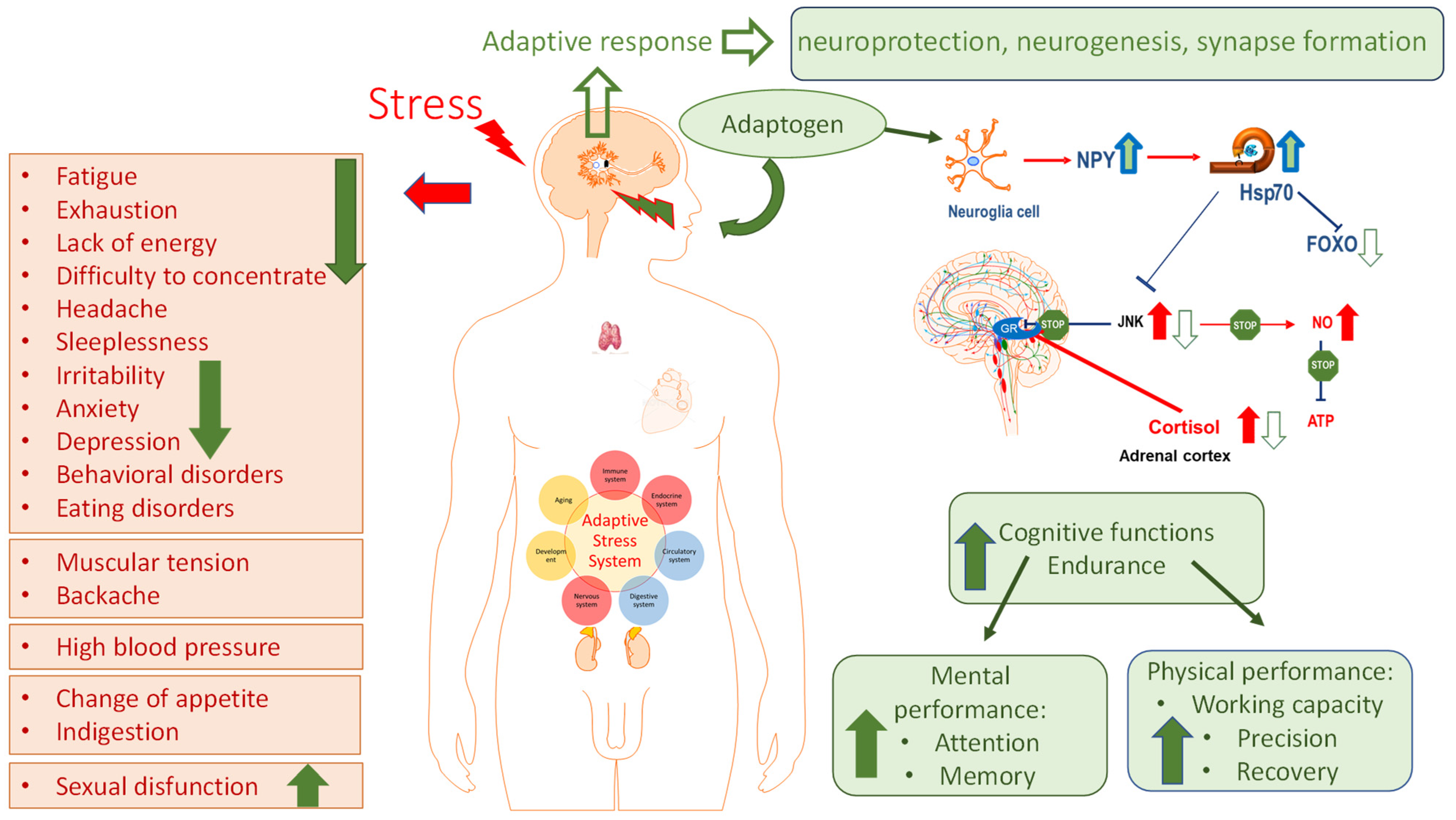 Pharmaceuticals 18 00261 g007 Pharmaceuticals 18 00261 g007