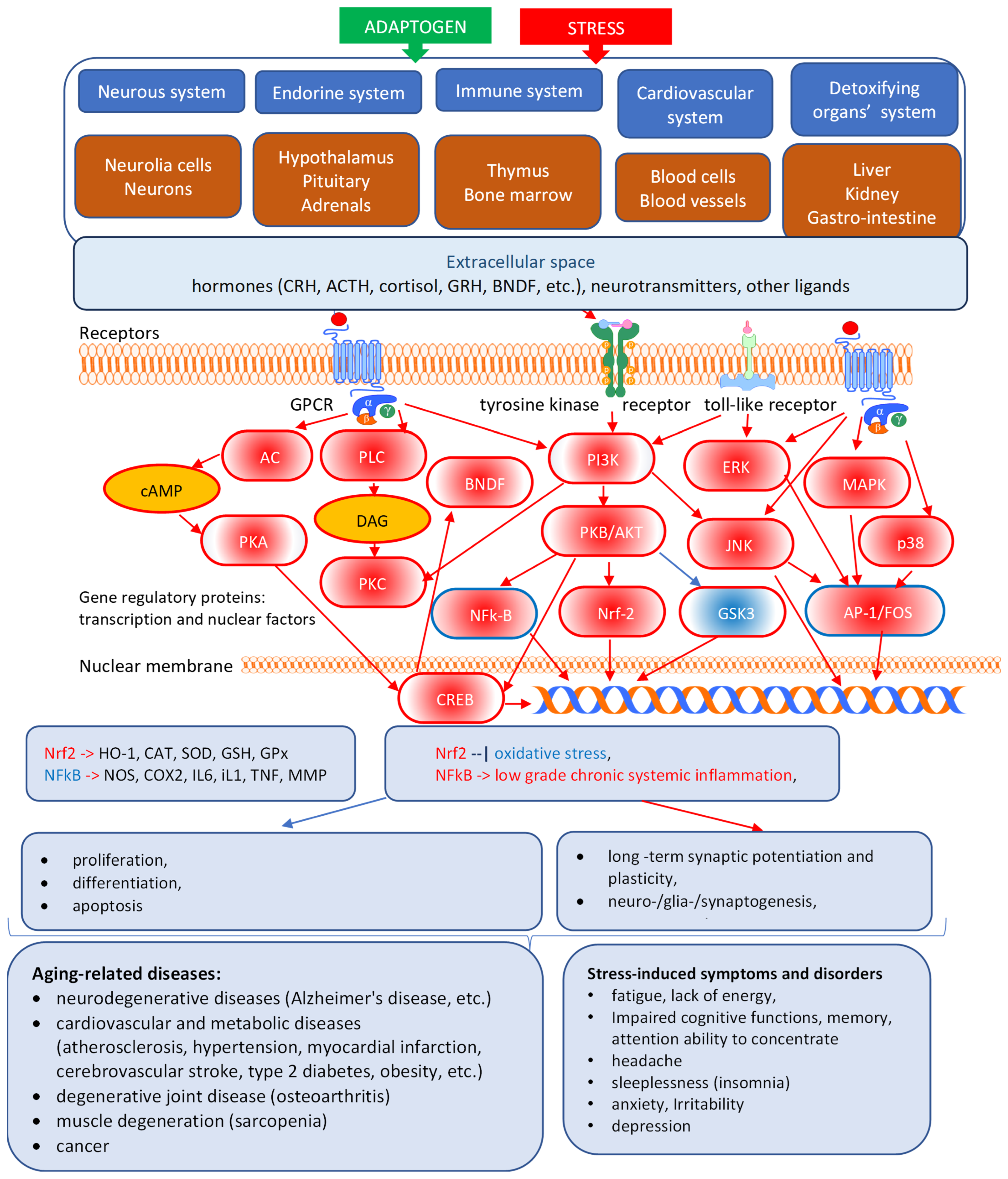 Pharmaceuticals 18 00261 g008 Pharmaceuticals 18 00261 g008