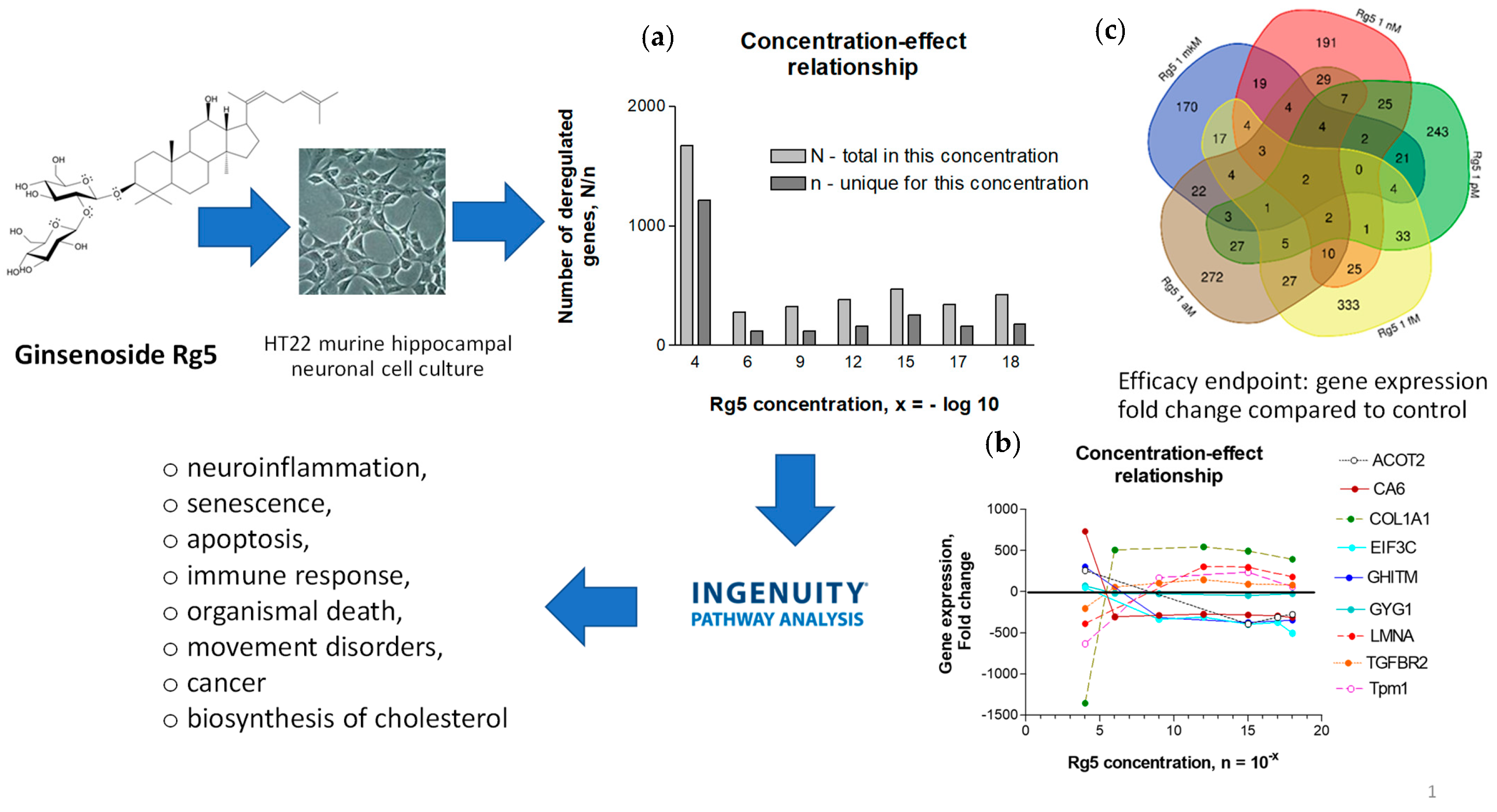 Pharmaceuticals 18 00261 g011 Pharmaceuticals 18 00261 g011