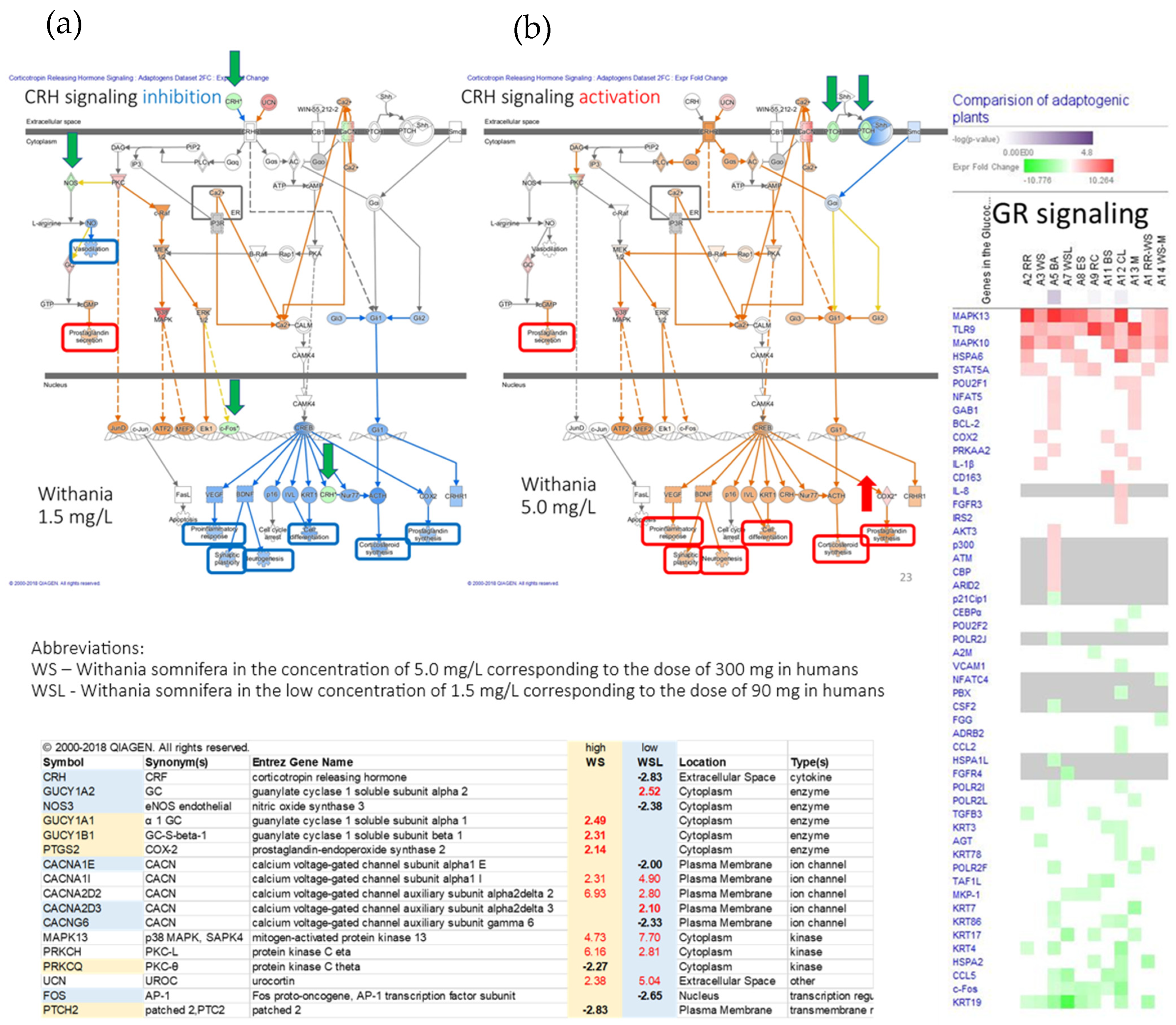 Pharmaceuticals 18 00261 g012 Pharmaceuticals 18 00261 g012