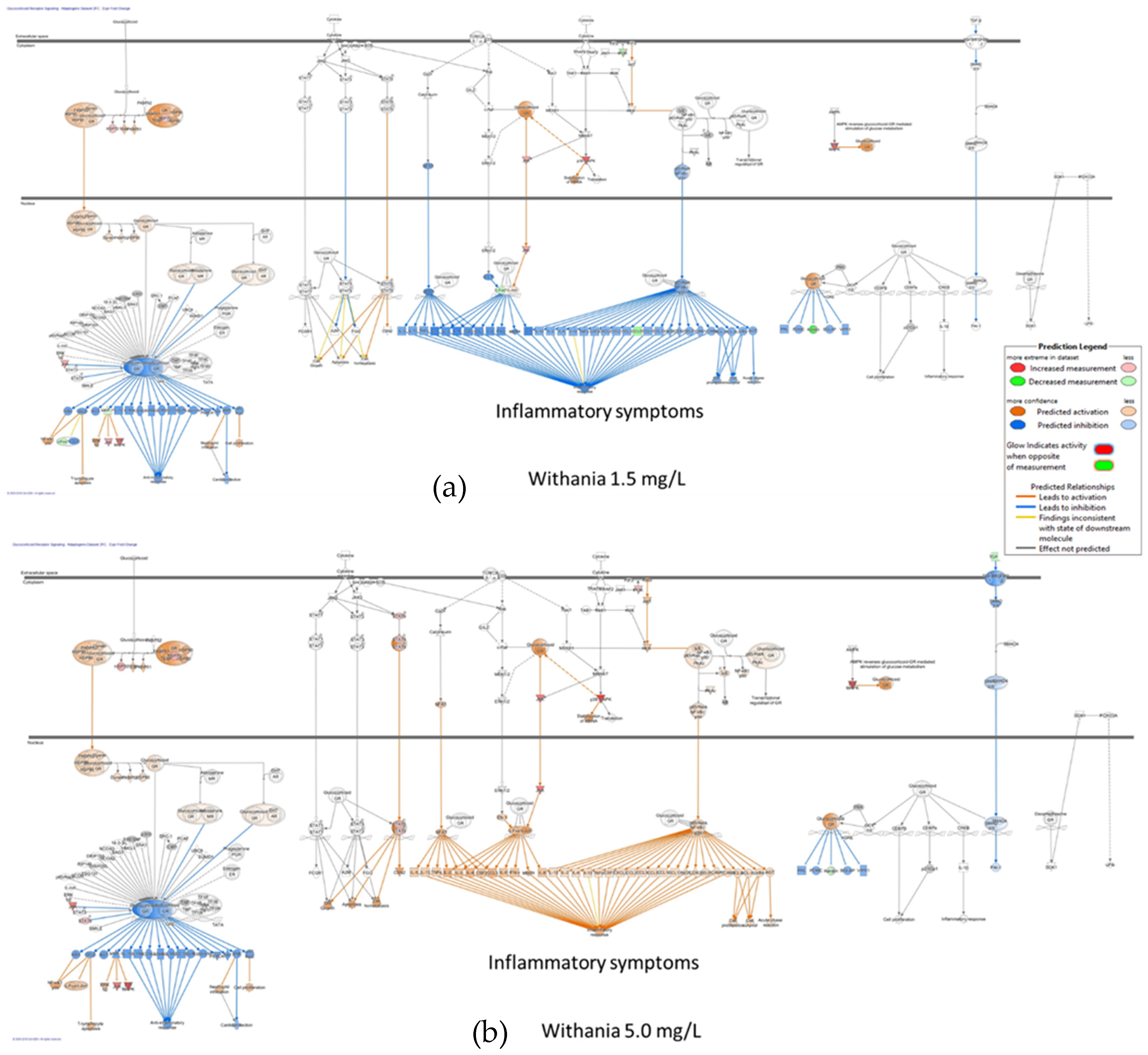 Pharmaceuticals 18 00261 g013 Pharmaceuticals 18 00261 g013
