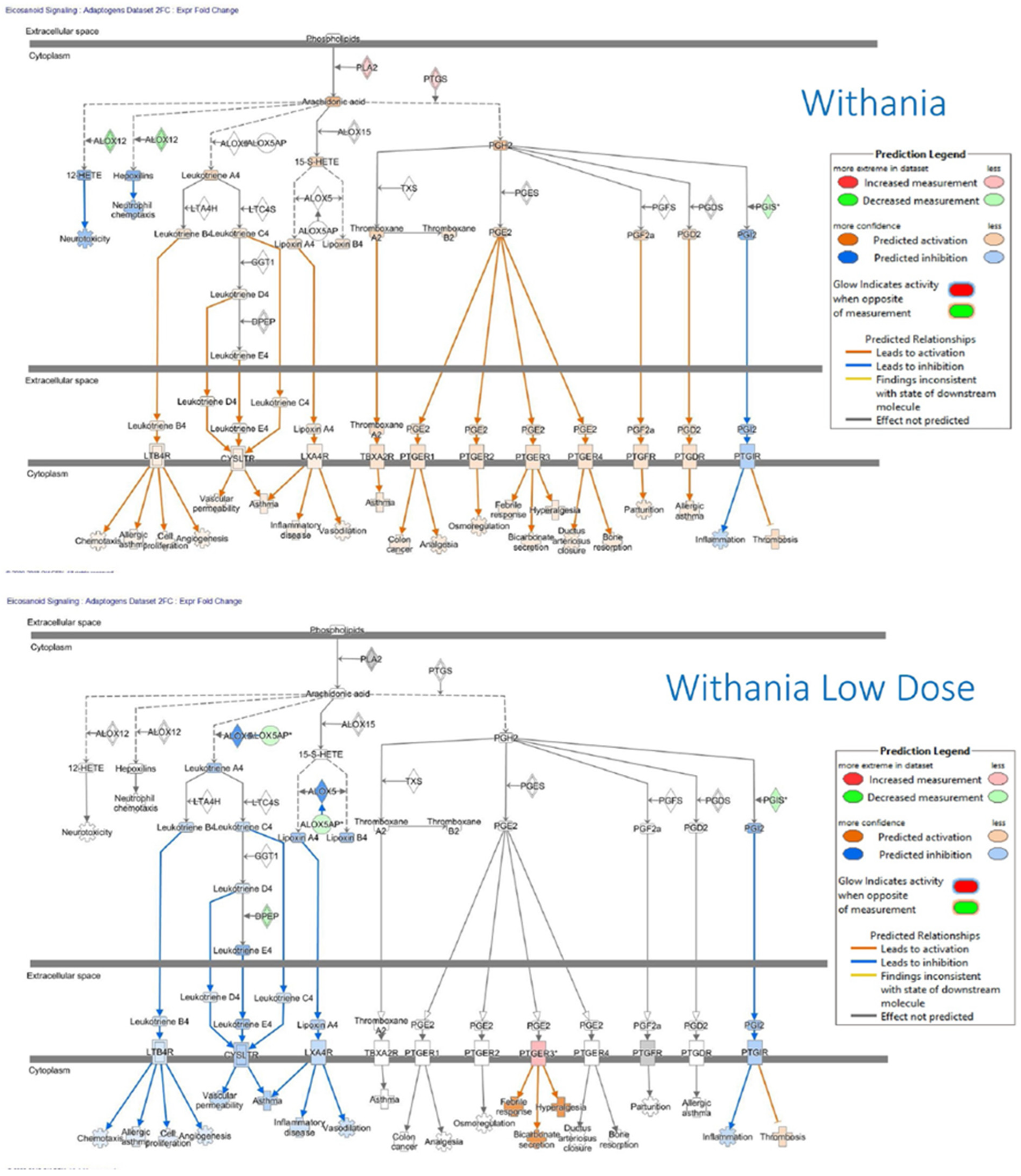 Pharmaceuticals 18 00261 g014 Pharmaceuticals 18 00261 g014