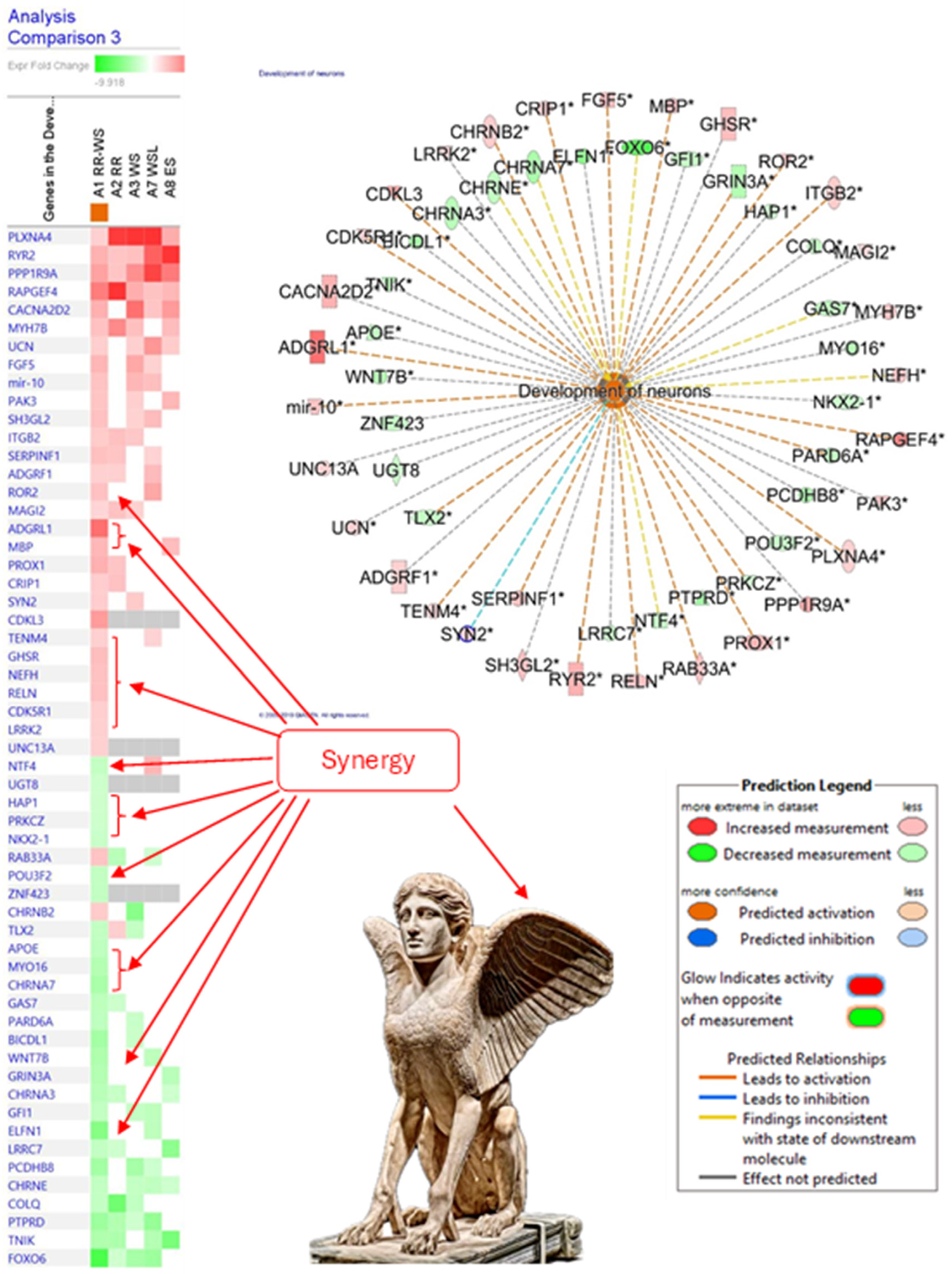 Pharmaceuticals 18 00261 g016 Pharmaceuticals 18 00261 g016