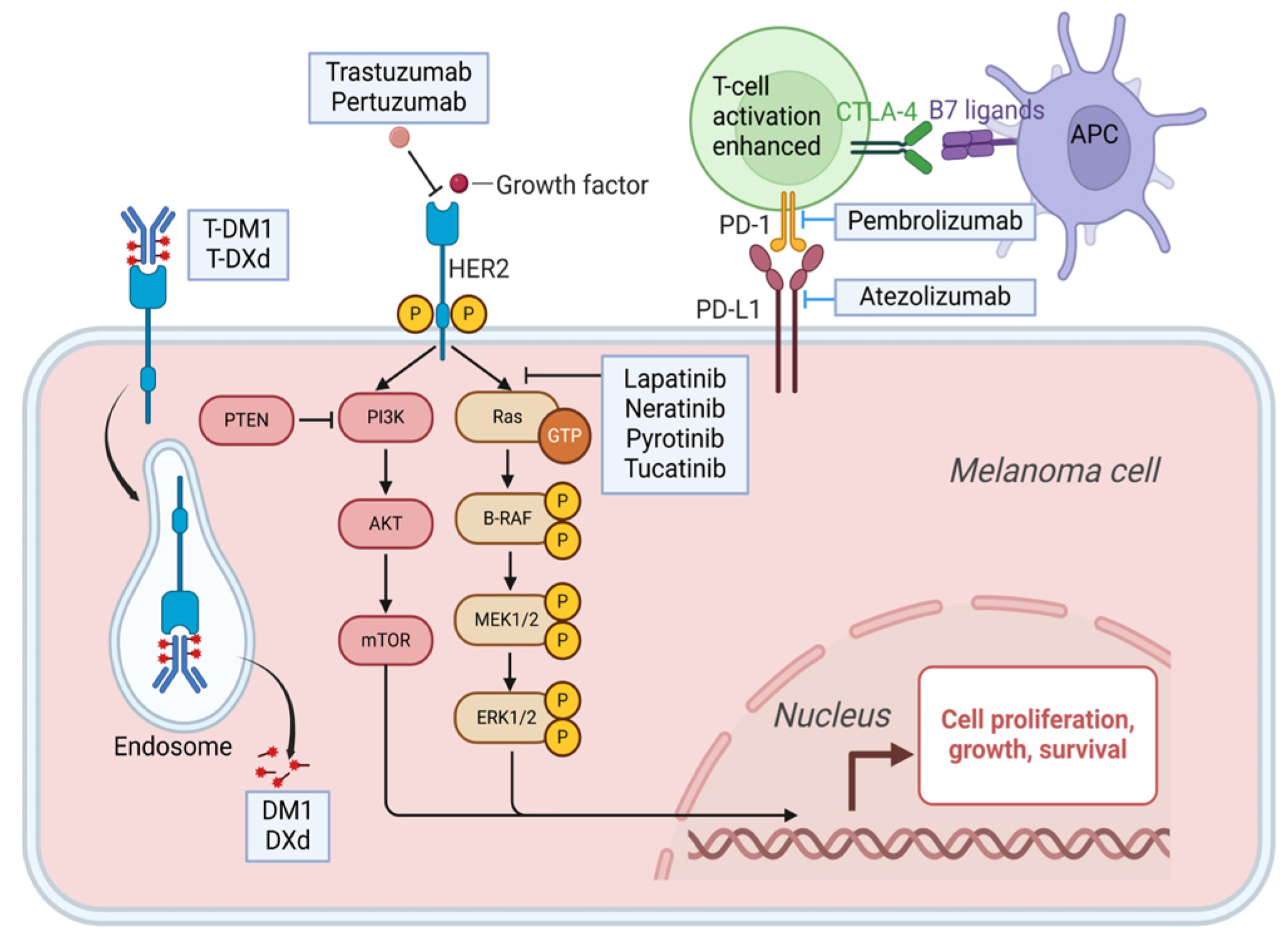 Pharmaceuticals 18 00262 g002