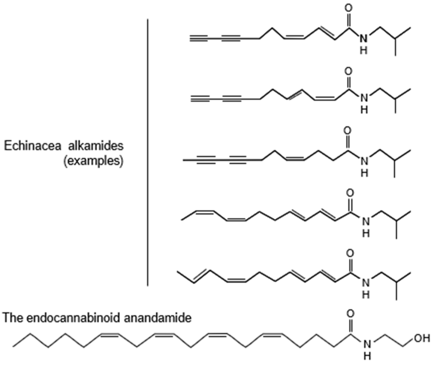 Pharmaceuticals 18 00264 g001