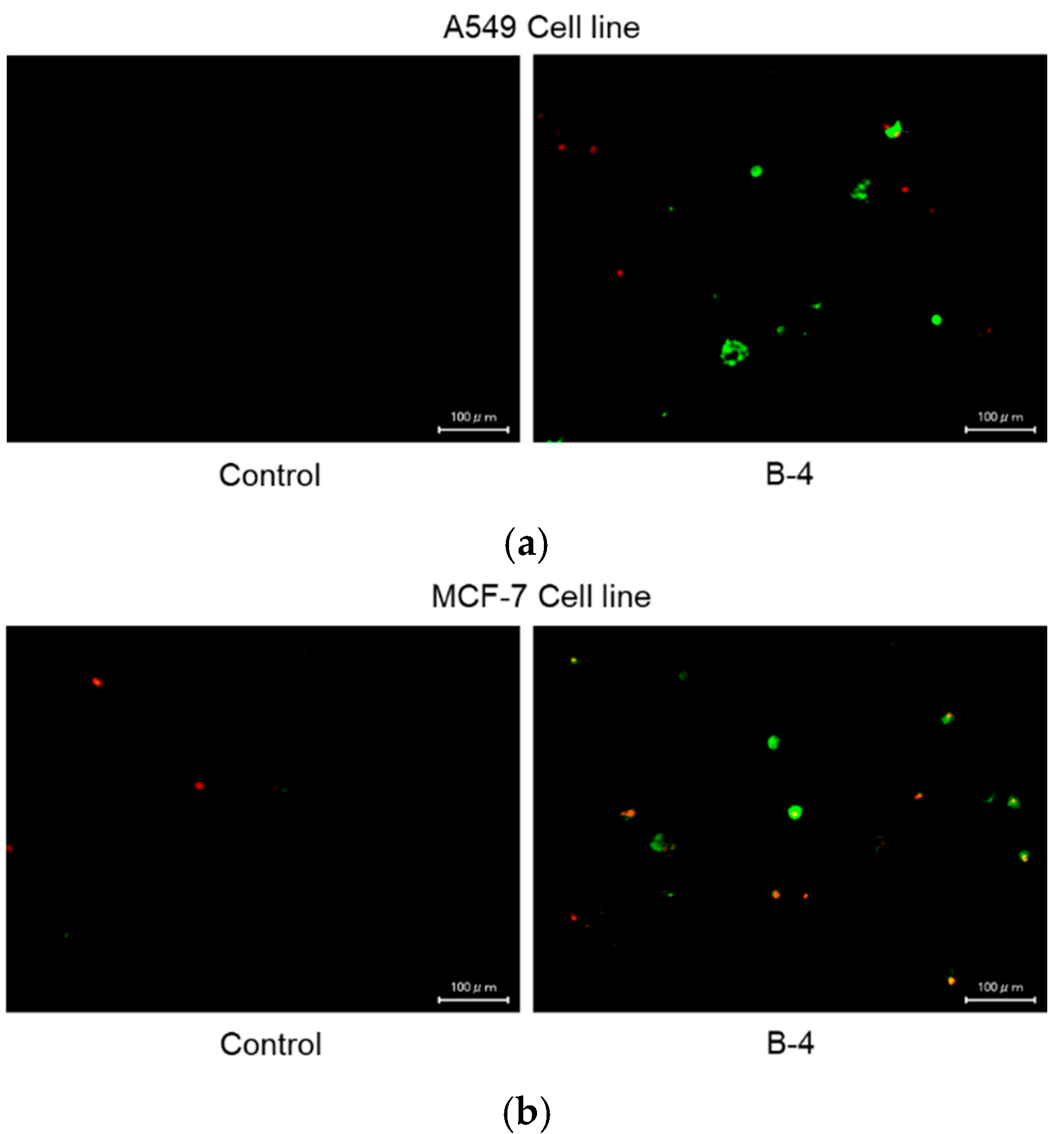 Pharmaceuticals 18 00270 g006