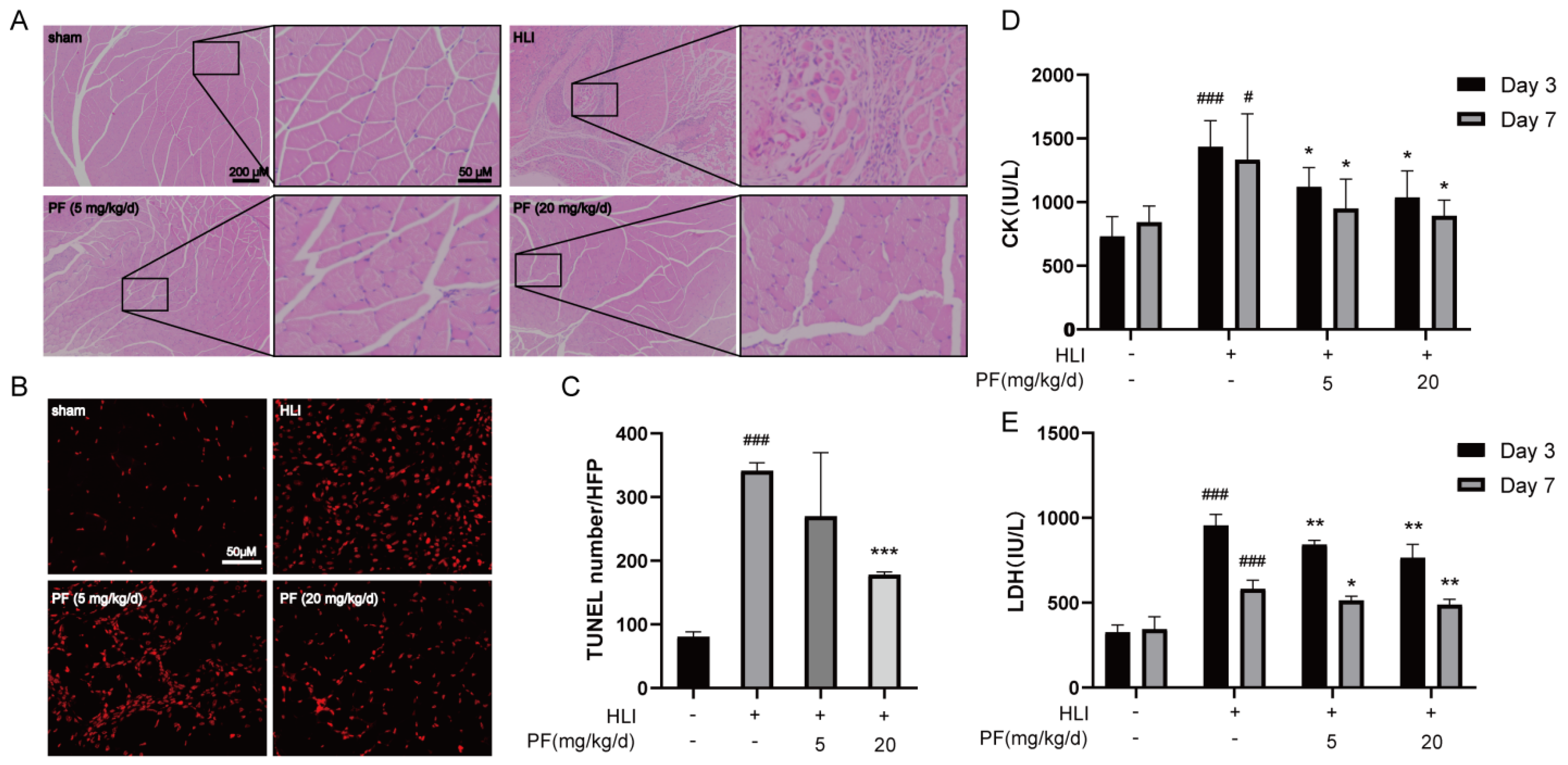 Pharmaceuticals 18 00272 g002 Pharmaceuticals 18 00272 g002