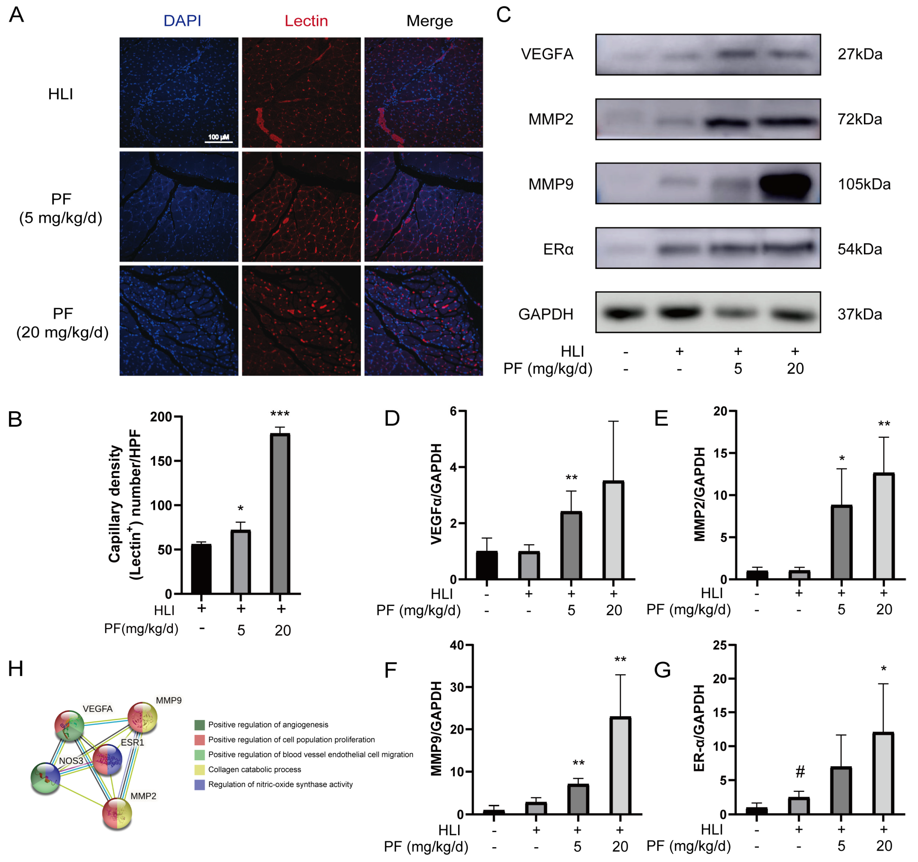 Pharmaceuticals 18 00272 g003 Pharmaceuticals 18 00272 g003