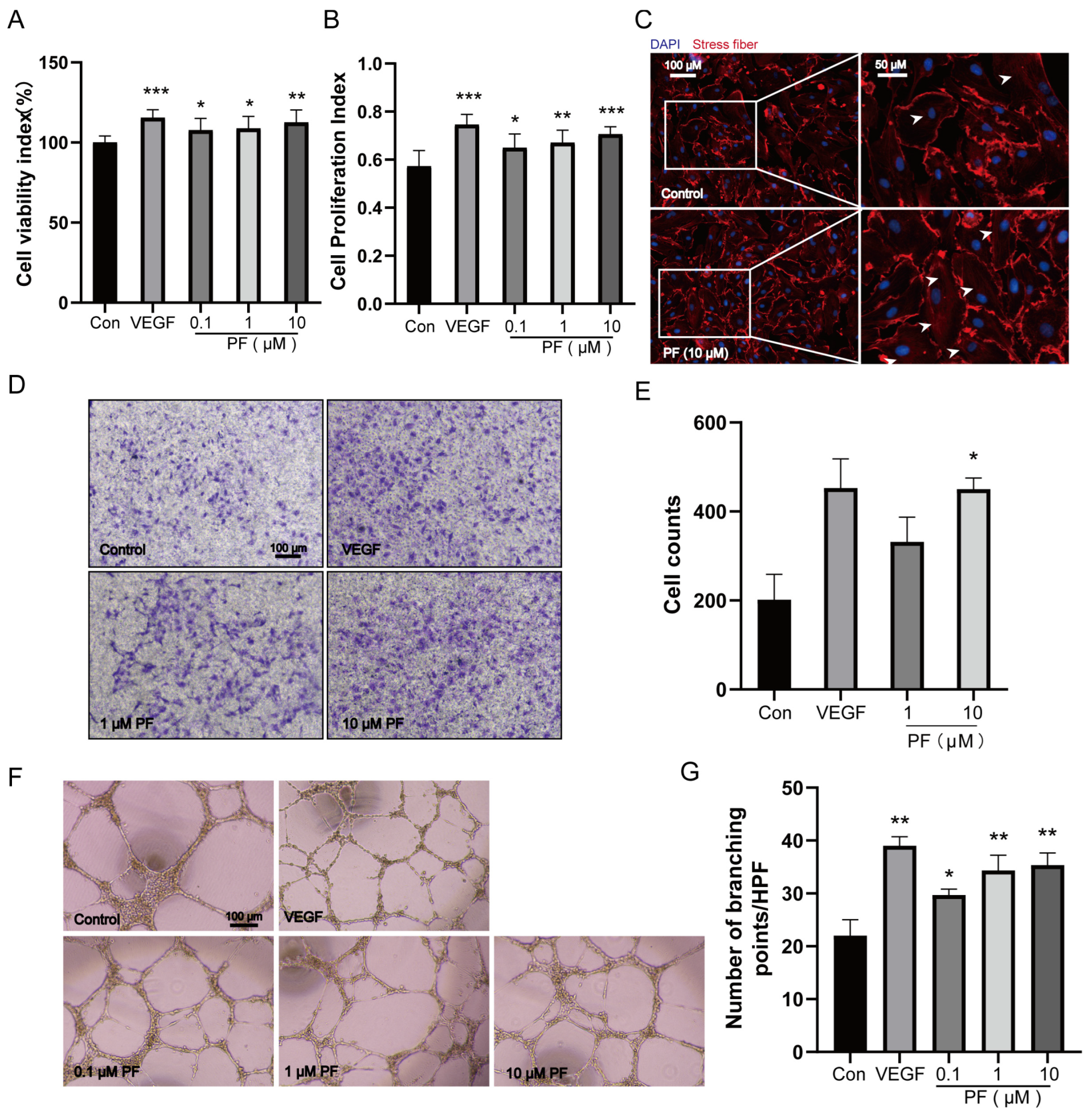 Pharmaceuticals 18 00272 g004 Pharmaceuticals 18 00272 g004