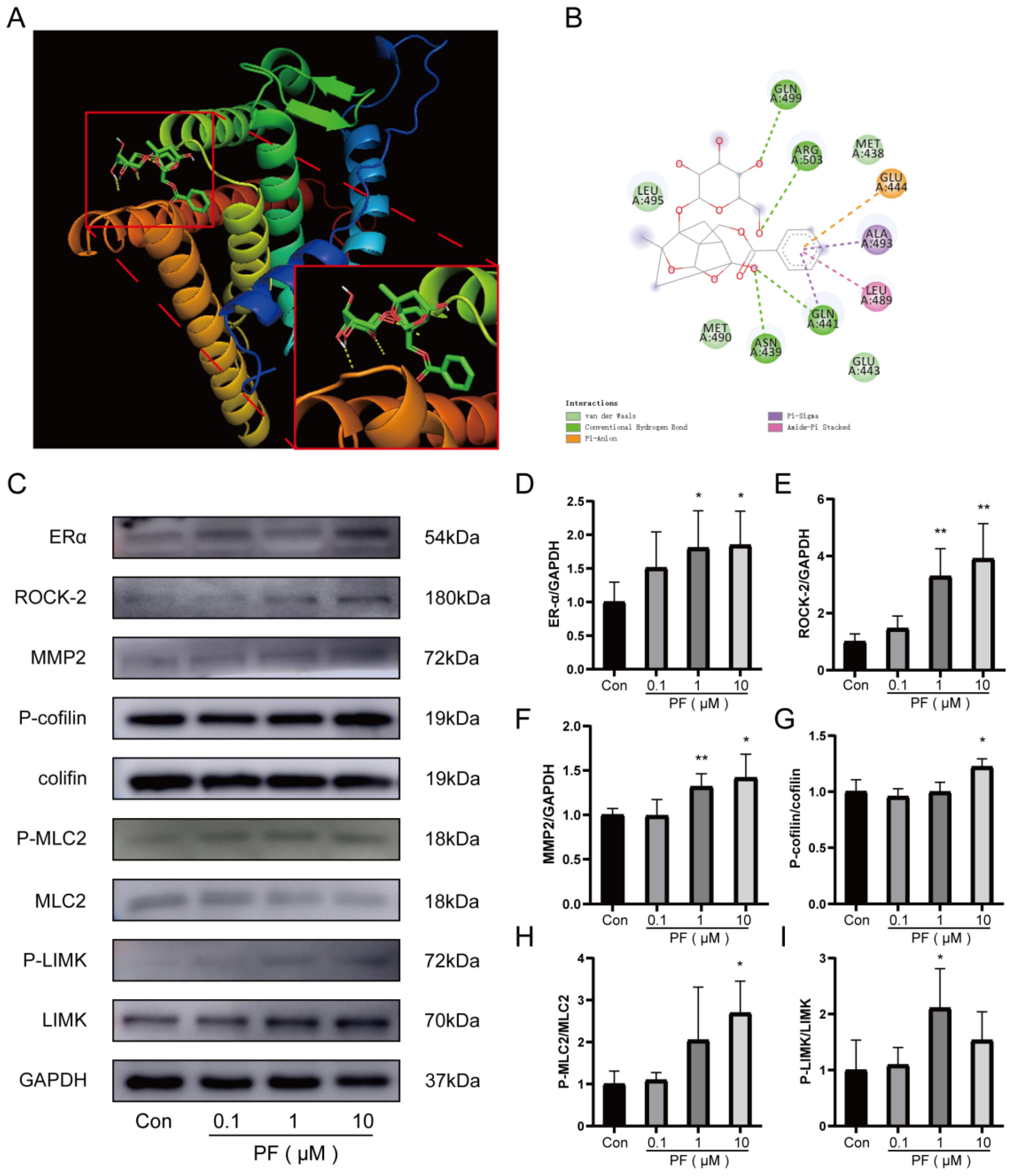 Pharmaceuticals 18 00272 g005 Pharmaceuticals 18 00272 g005
