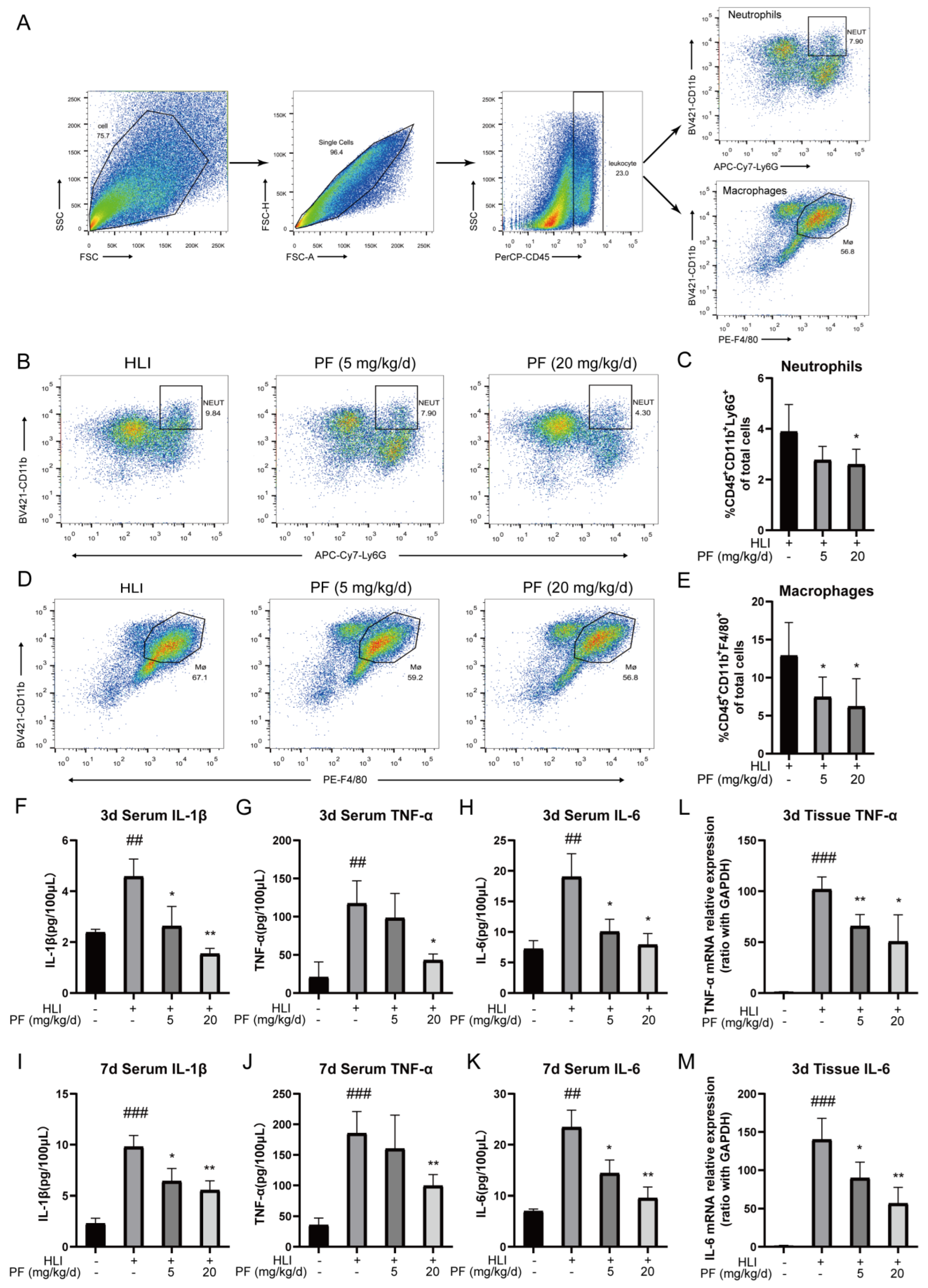 Pharmaceuticals 18 00272 g006 Pharmaceuticals 18 00272 g006