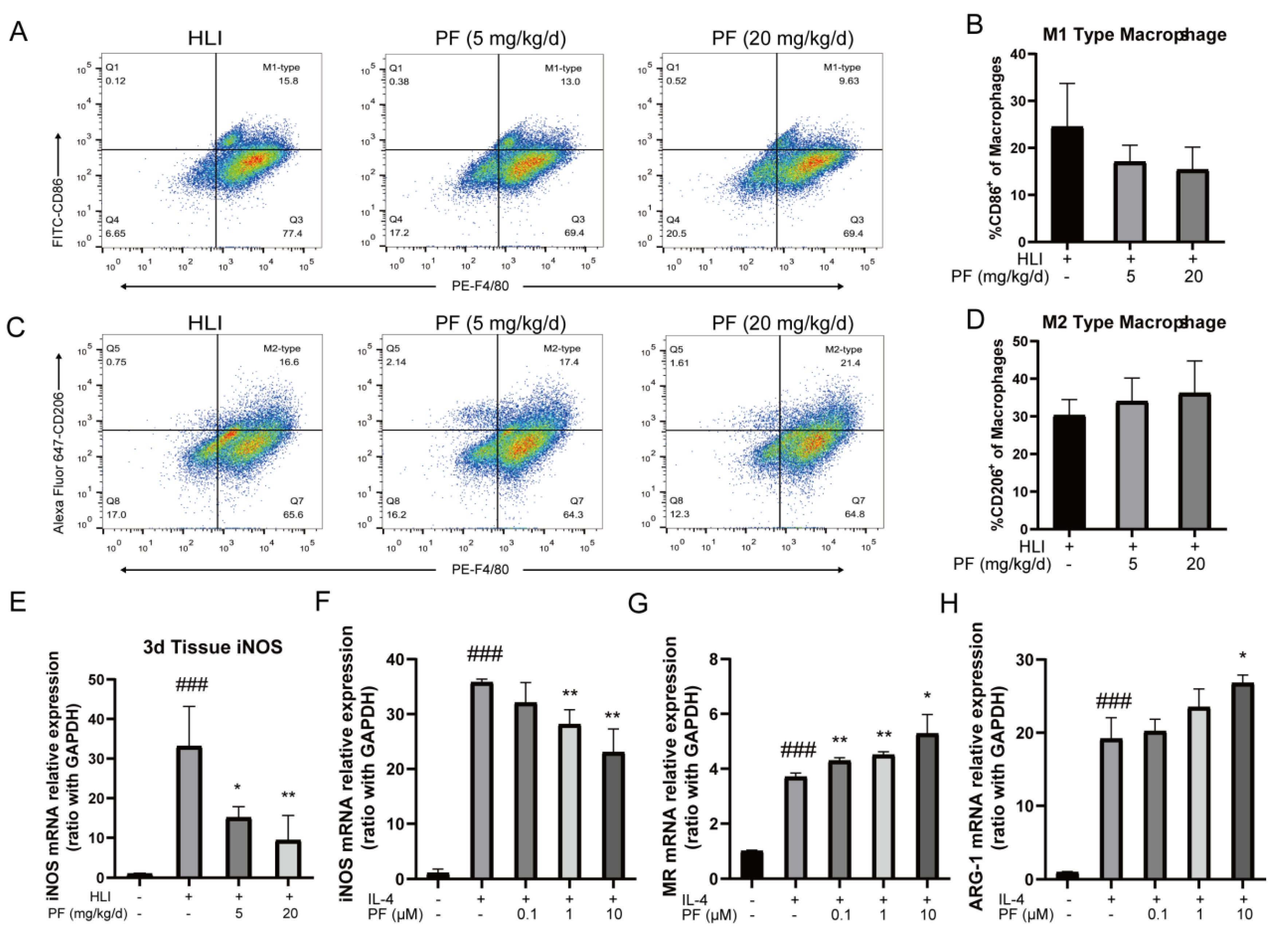 Pharmaceuticals 18 00272 g007 Pharmaceuticals 18 00272 g007