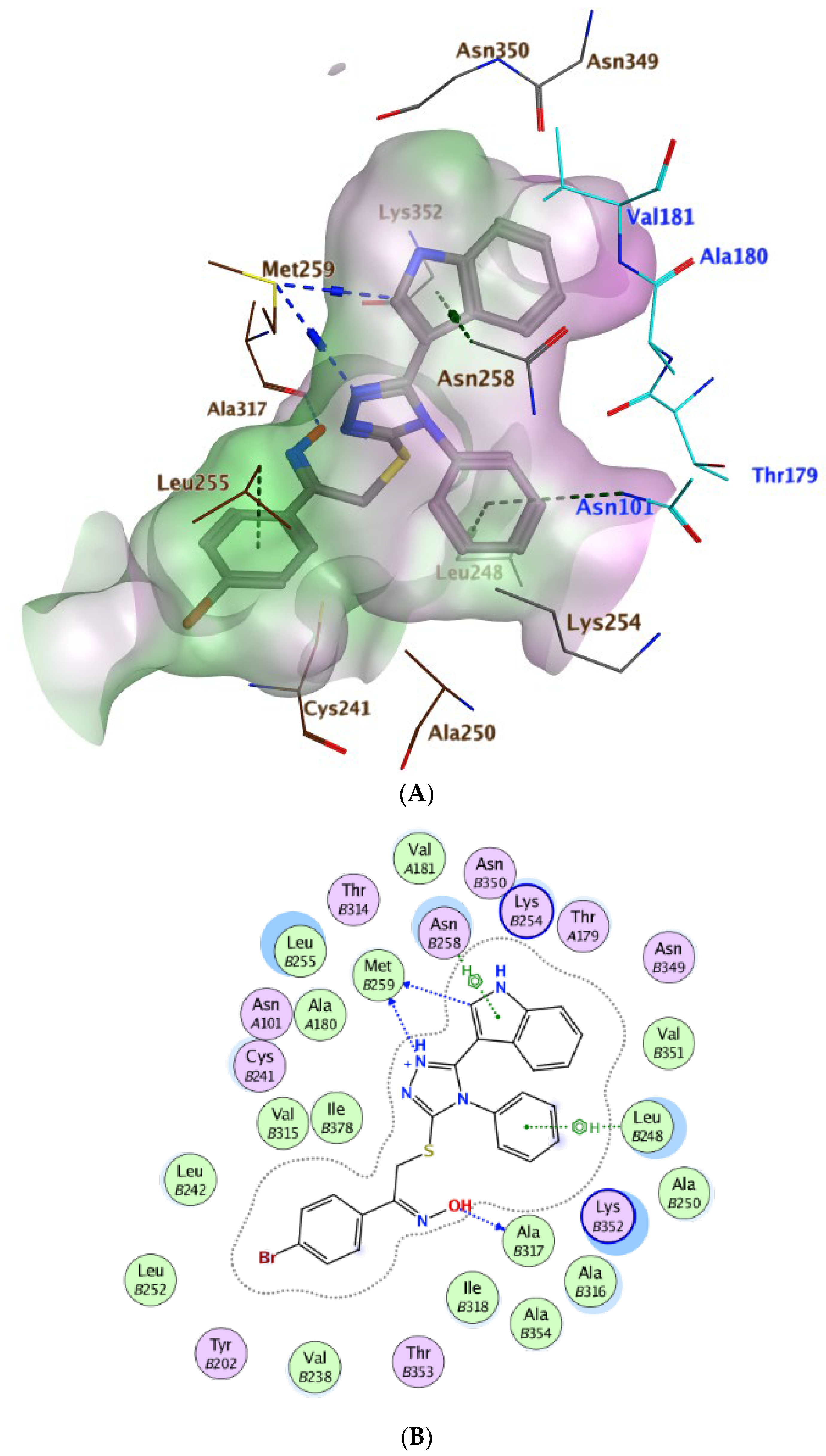 Pharmaceuticals 18 00275 g008